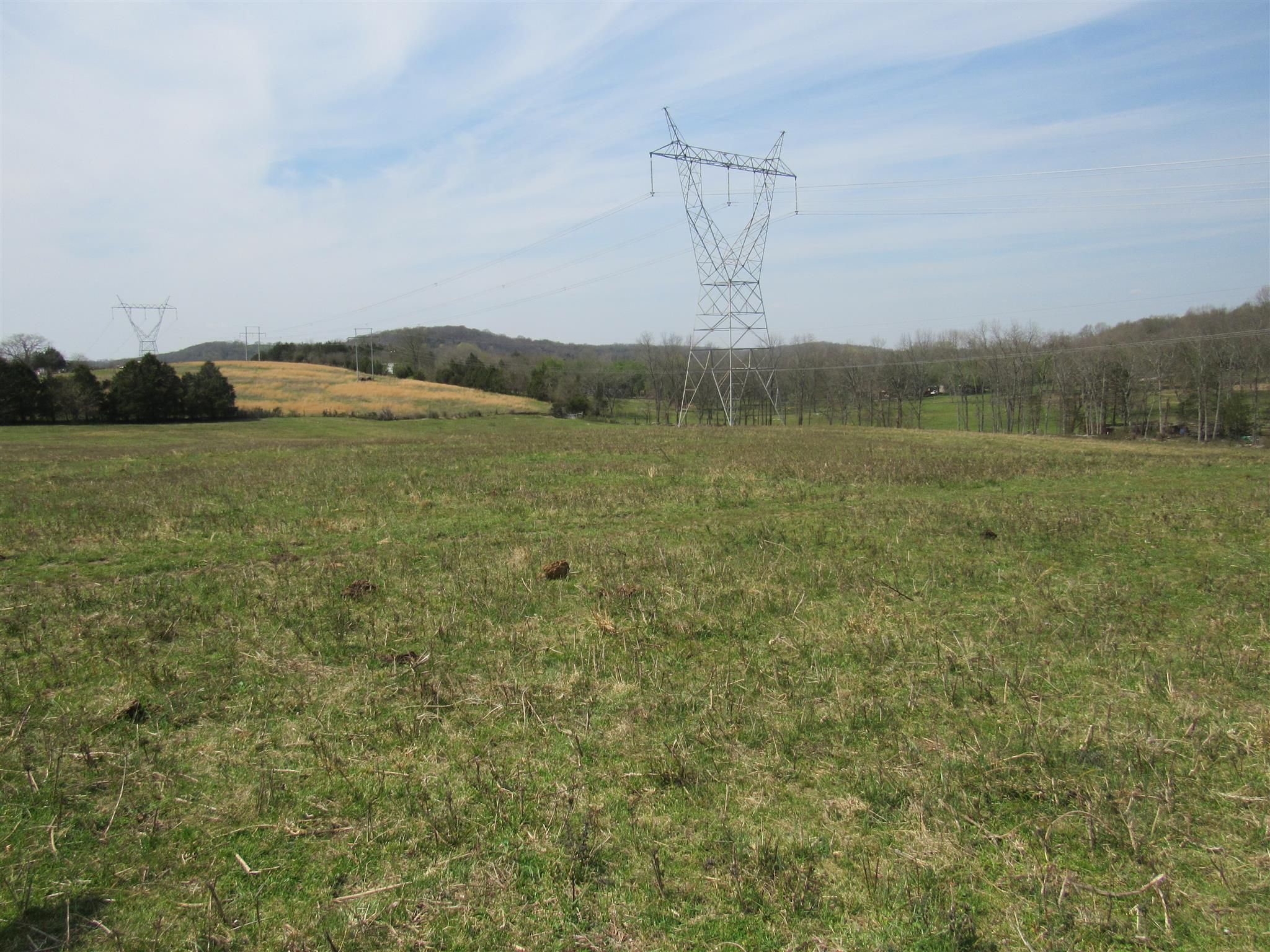 0 Young Road Lebanon, TN 37090 - Photo 10 of 16