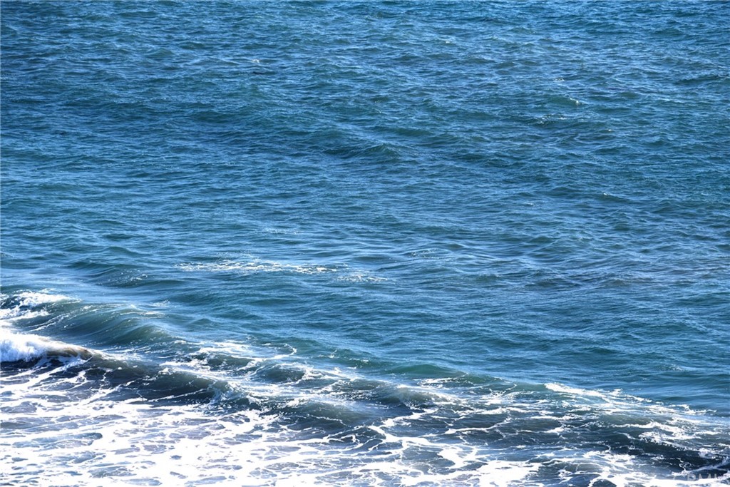 267 Avenida Lobeiro, Unit E San Clemente, CA 92672 - Photo 33 of 56 a view of a yard