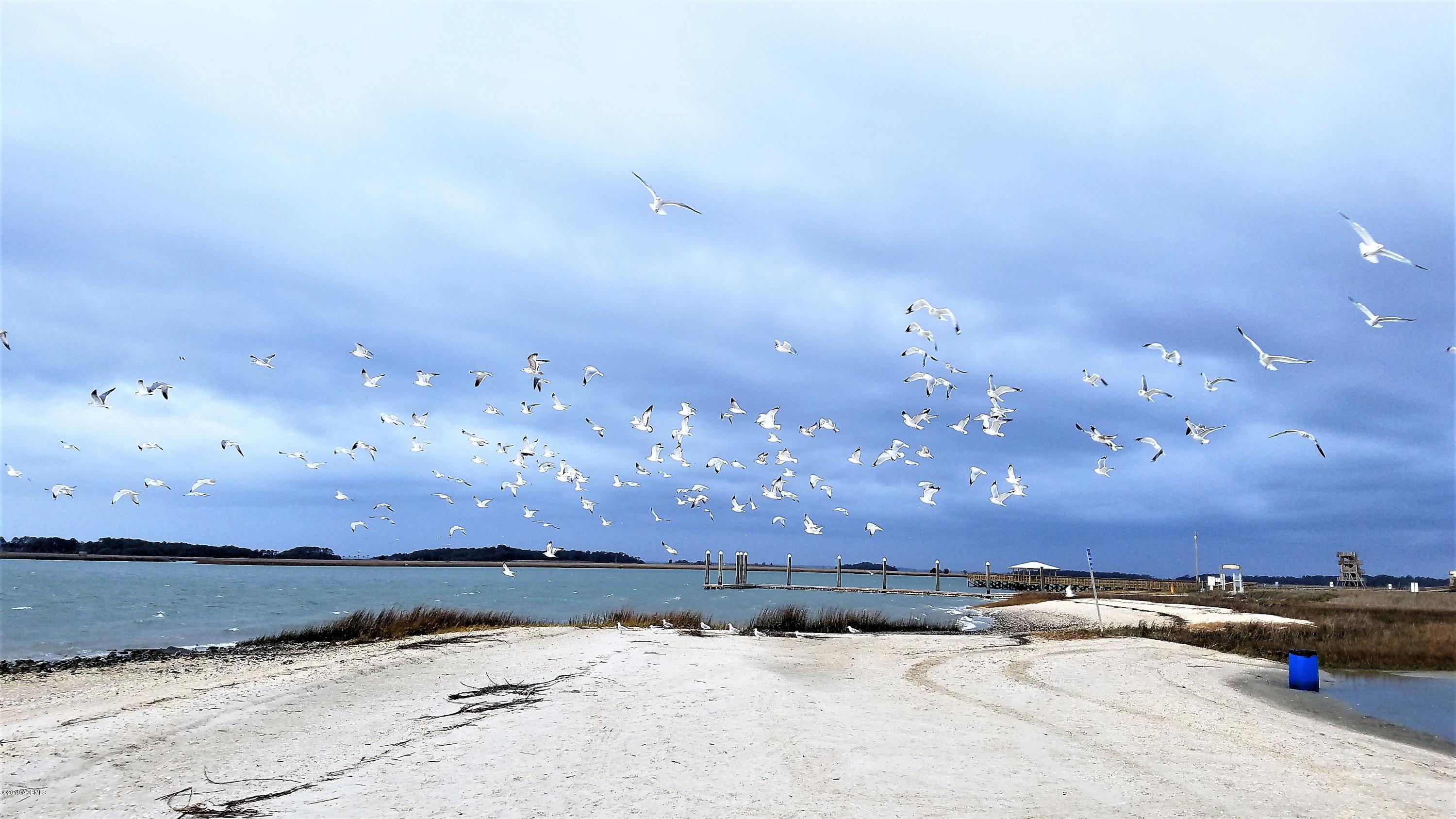 1610 Ritter Circle Port Royal, SC 29935 - Photo 33 of 50 201 - Sands & Seagulls