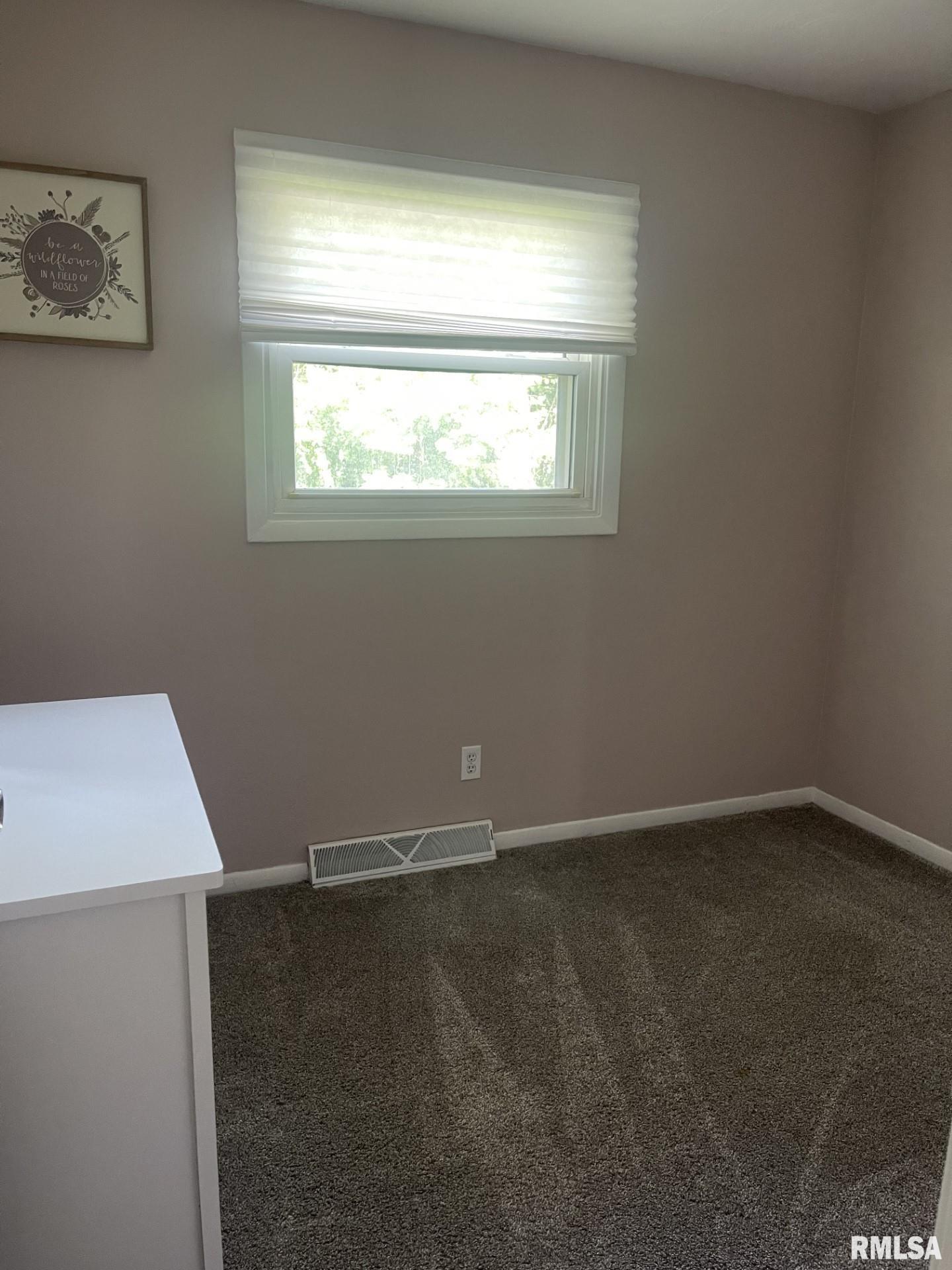 204 Water Street Rochester, IL 62563 - Photo 9 of 11