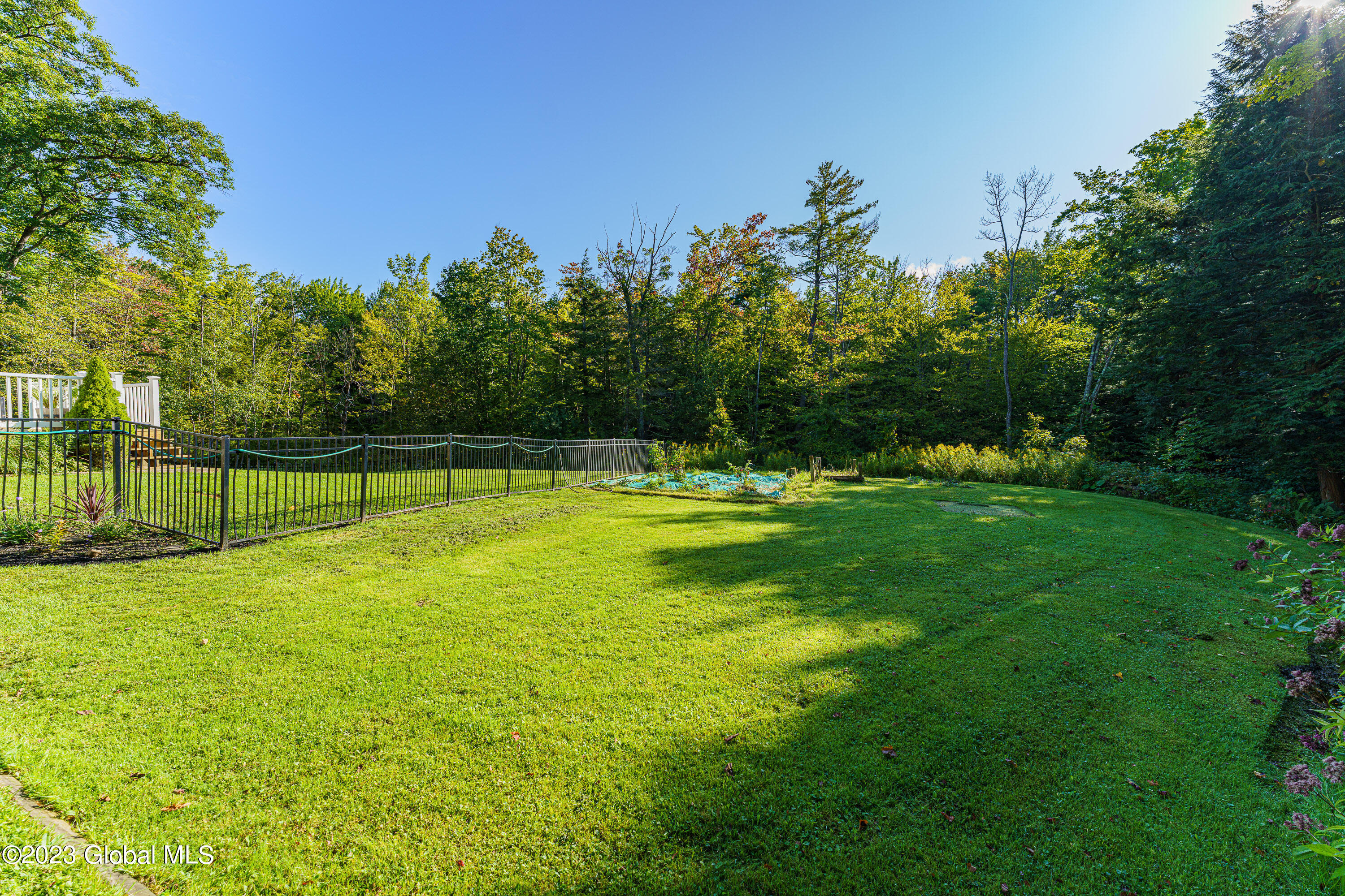 1430 Knight Road Delanson, NY 12053 - Photo 37 of 60 Yard u 3
