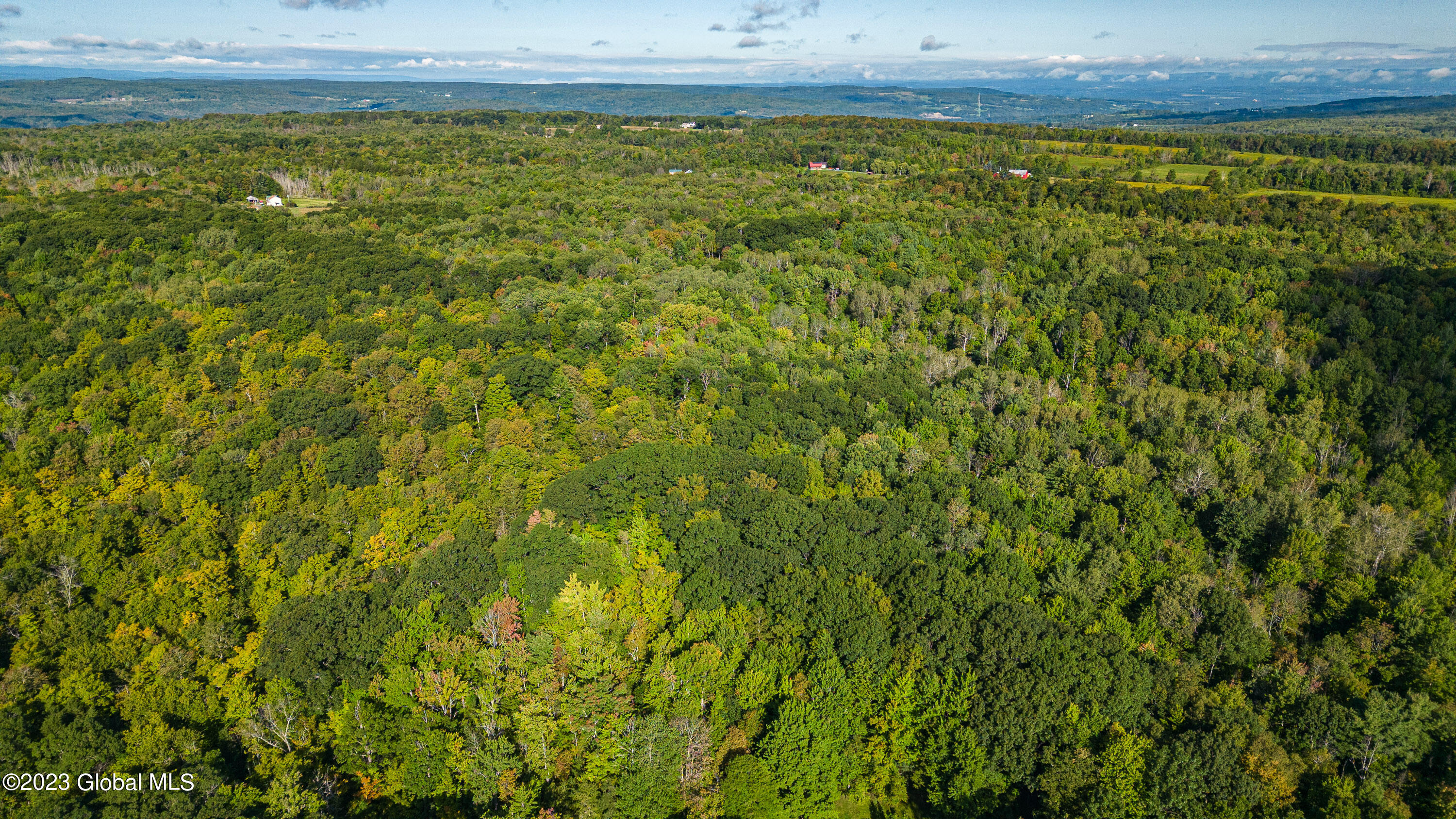 1430 Knight Road Delanson, NY 12053 - Photo 59 of 60 Air Yard 7