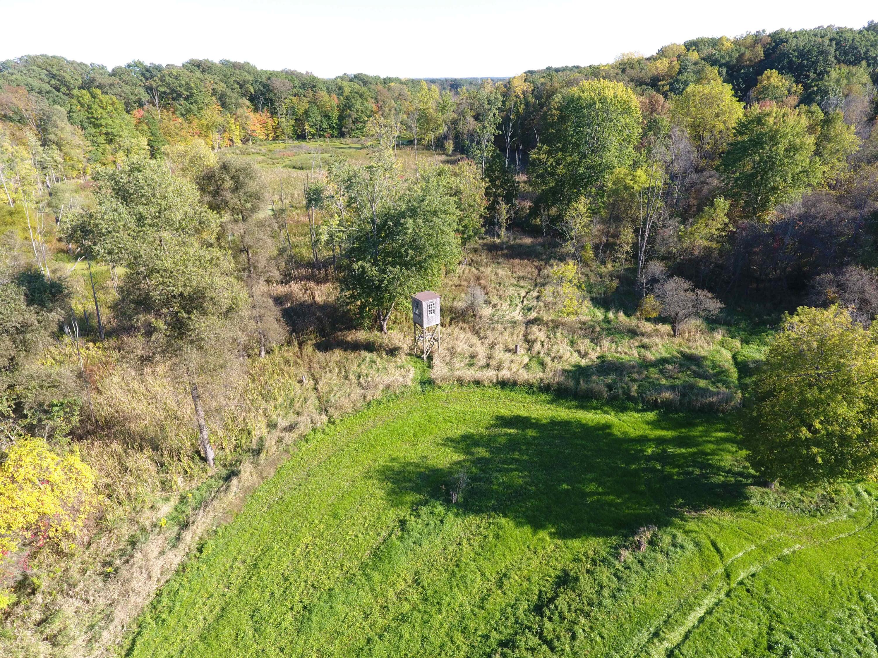 2077 Bullock Road Lapeer, MI 48446 - Photo 14 of 16 DJI_0008