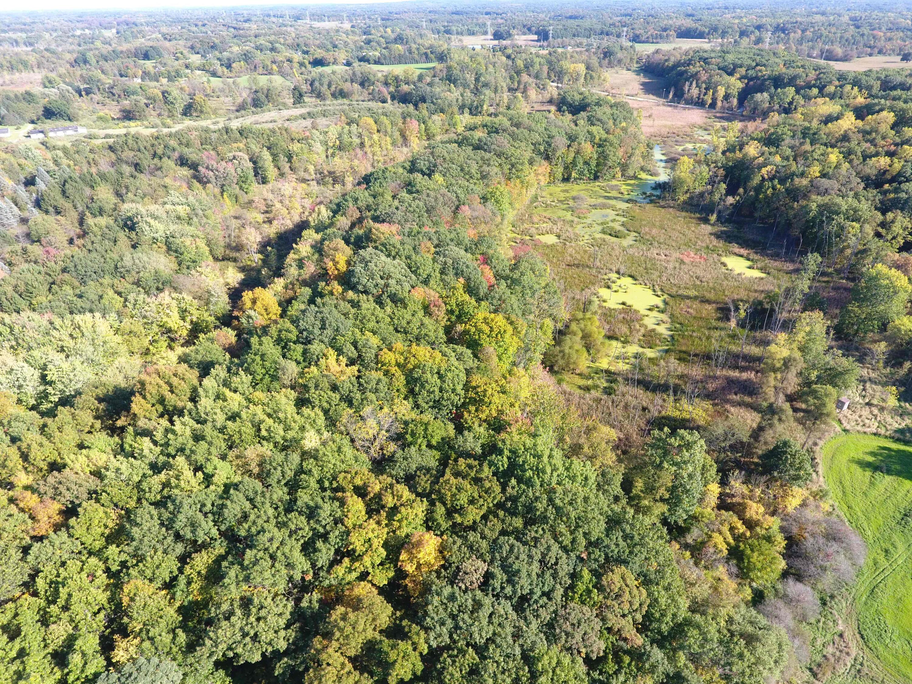2077 Bullock Road Lapeer, MI 48446 - Photo 16 of 16 DJI_0014