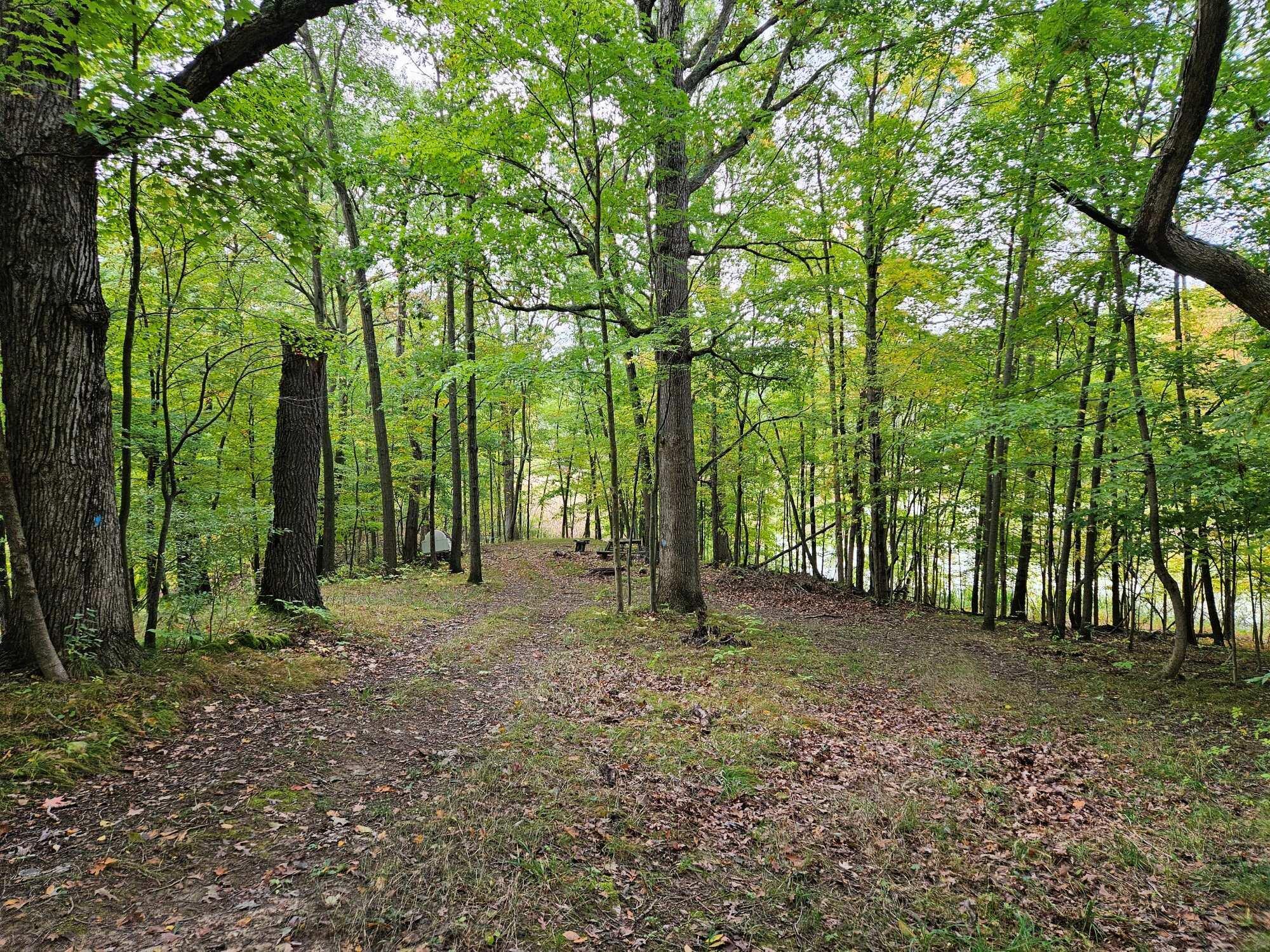 2077 Bullock Road Lapeer, MI 48446 - Photo 8 of 16 17