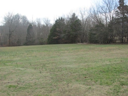 65 Napier Road Scottsville, KY 42164 - Photo 11 of 31 Gallery Image 11