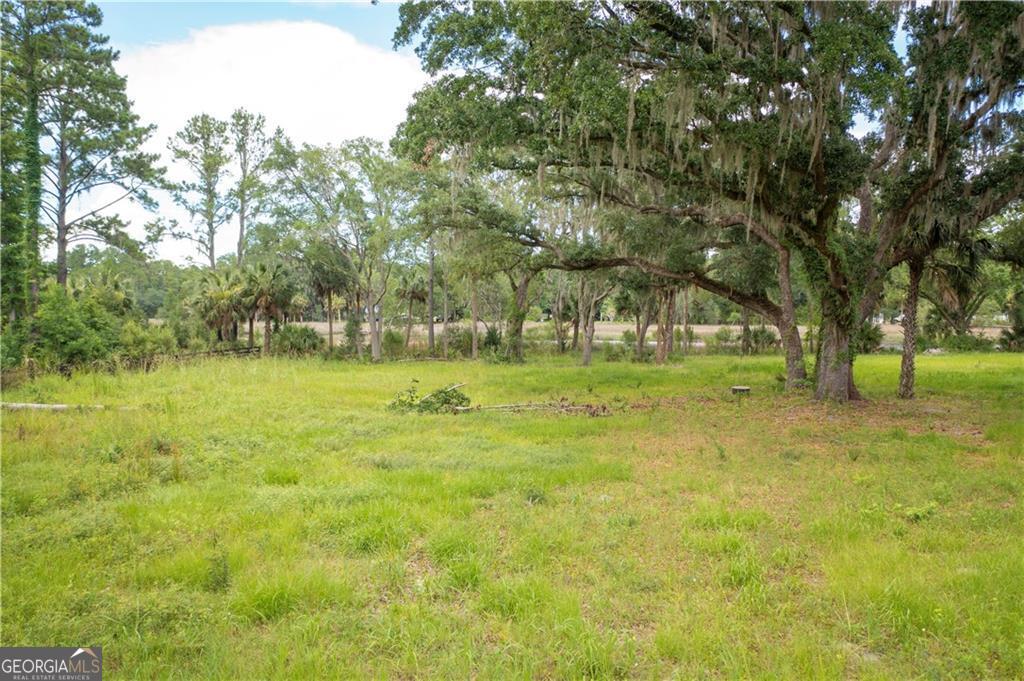 1143 River Oaks Road Brunswick, GA 31523 - Photo 3 of 4 a view of a garden with trees