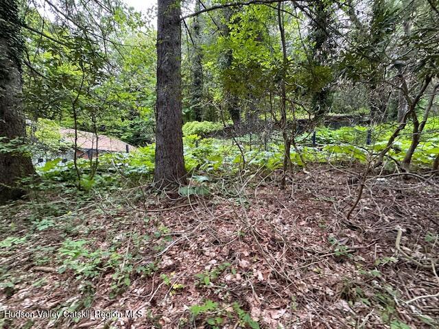 388 Fitzsimmons Road Red Hook, NY 12571 - Photo 4 of 17 Backyard