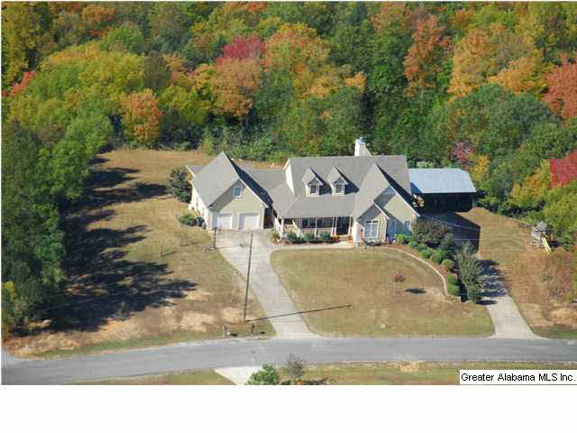 230 Beaver Ridge Circle Ashville, AL 35953 - Photo 2 of 30