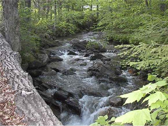 0 Taylor Valley Road Strafford, VT 05072 - Photo 1 of 1
