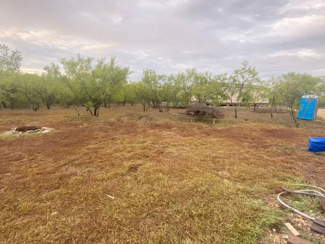 a view of a field with trees