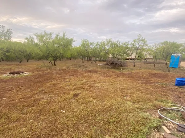 a view of a field with trees