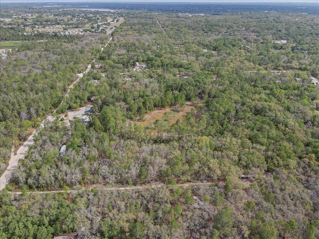 17528 Coyote Road Hudson, FL 34667 - Photo 52 of 60