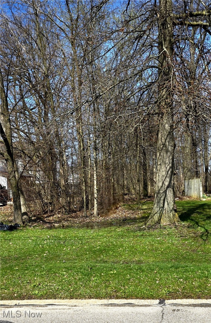 Drake Street North Ridgeville, OH 44039 - Photo 2 of 4 Gallery Image 2