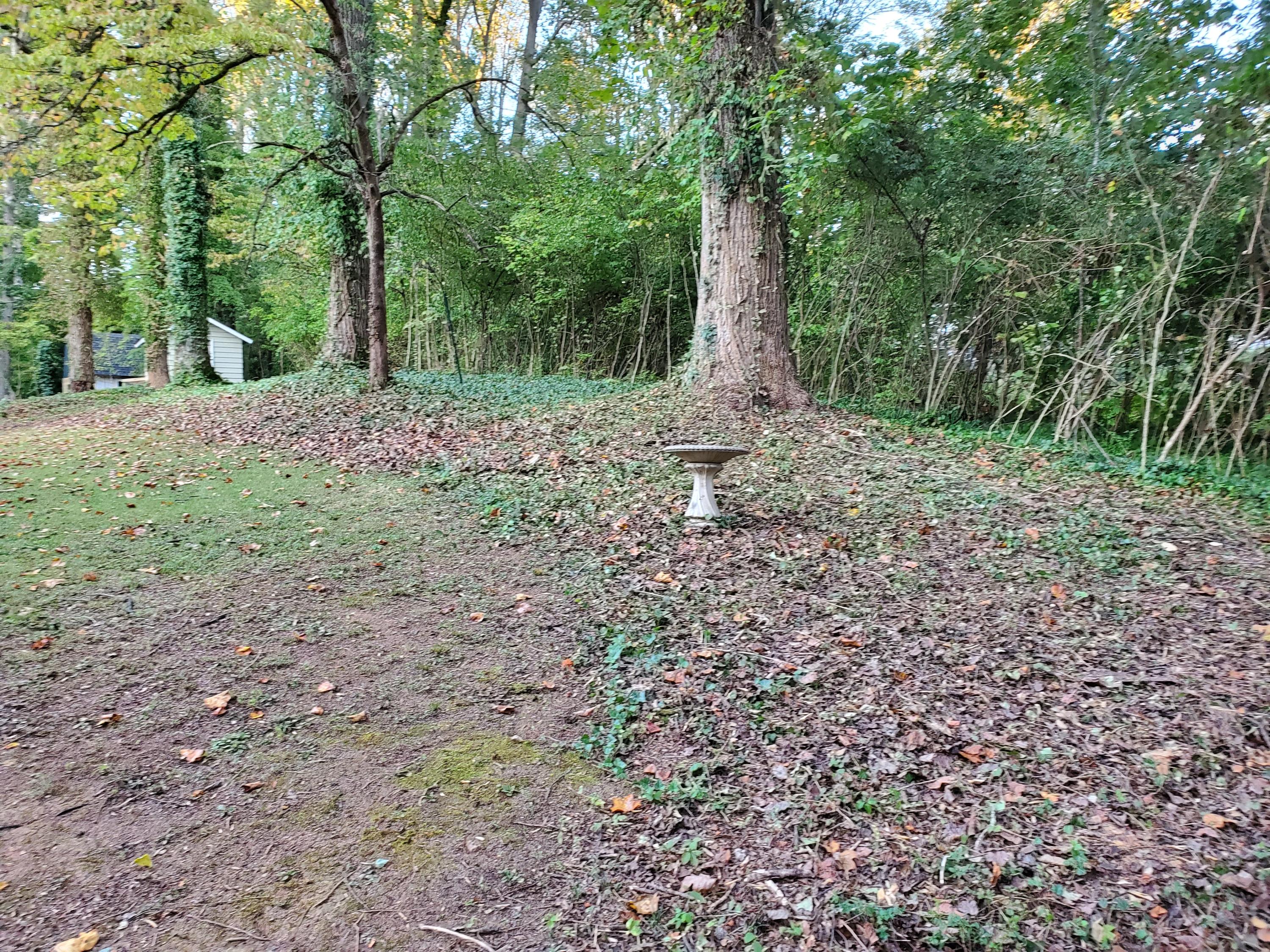 208 Maple Loop Road Knoxville, TN 37920 - Photo 9 of 22 20191013_184009