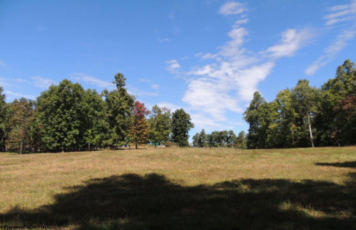 489 Slab Cp Road Independence, WV 26374 - Photo 46 of 50 Gallery Image 46