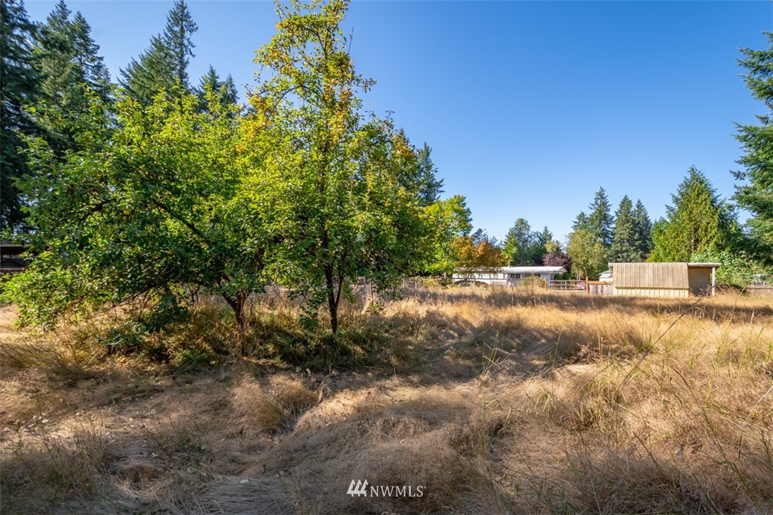 8017 176th Avenue Southwest Rochester, WA 98579 - Photo 20 of 21