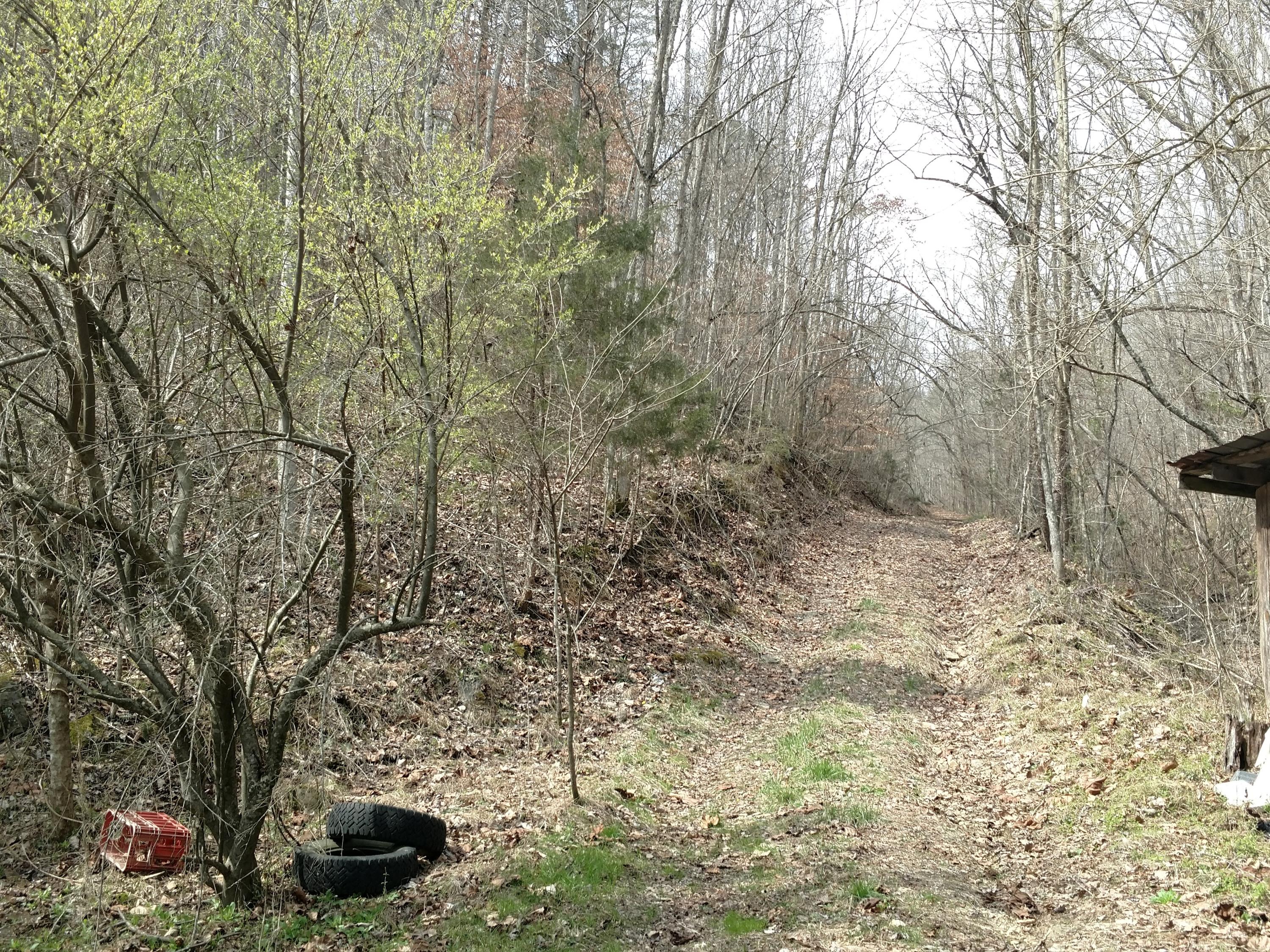 691 Little Creek Road Harrogate, TN 37752 - Photo 2 of 32 IMG_20180326_150218655