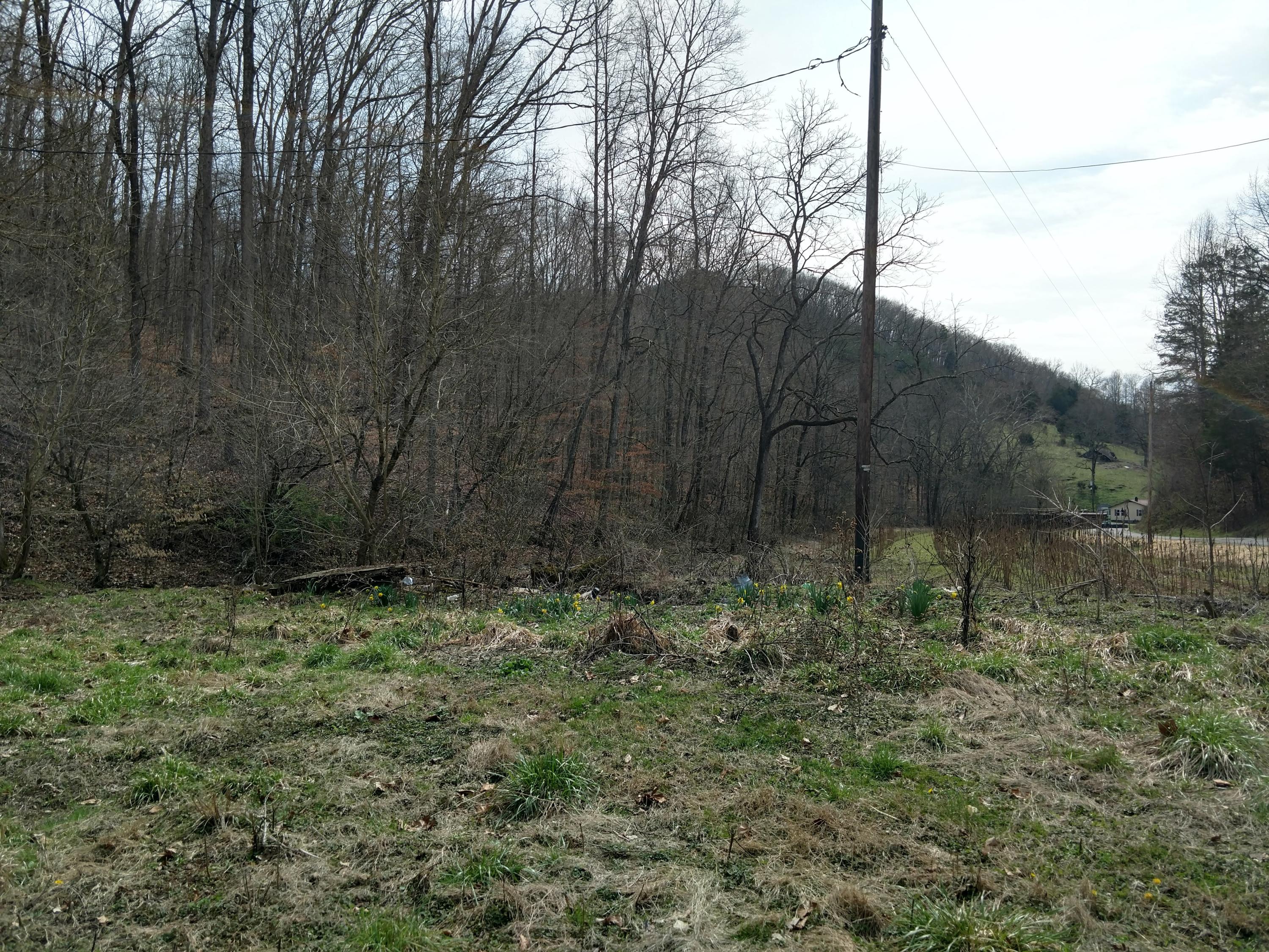 691 Little Creek Road Harrogate, TN 37752 - Photo 11 of 32 IMG_20180326_145953140_HDR