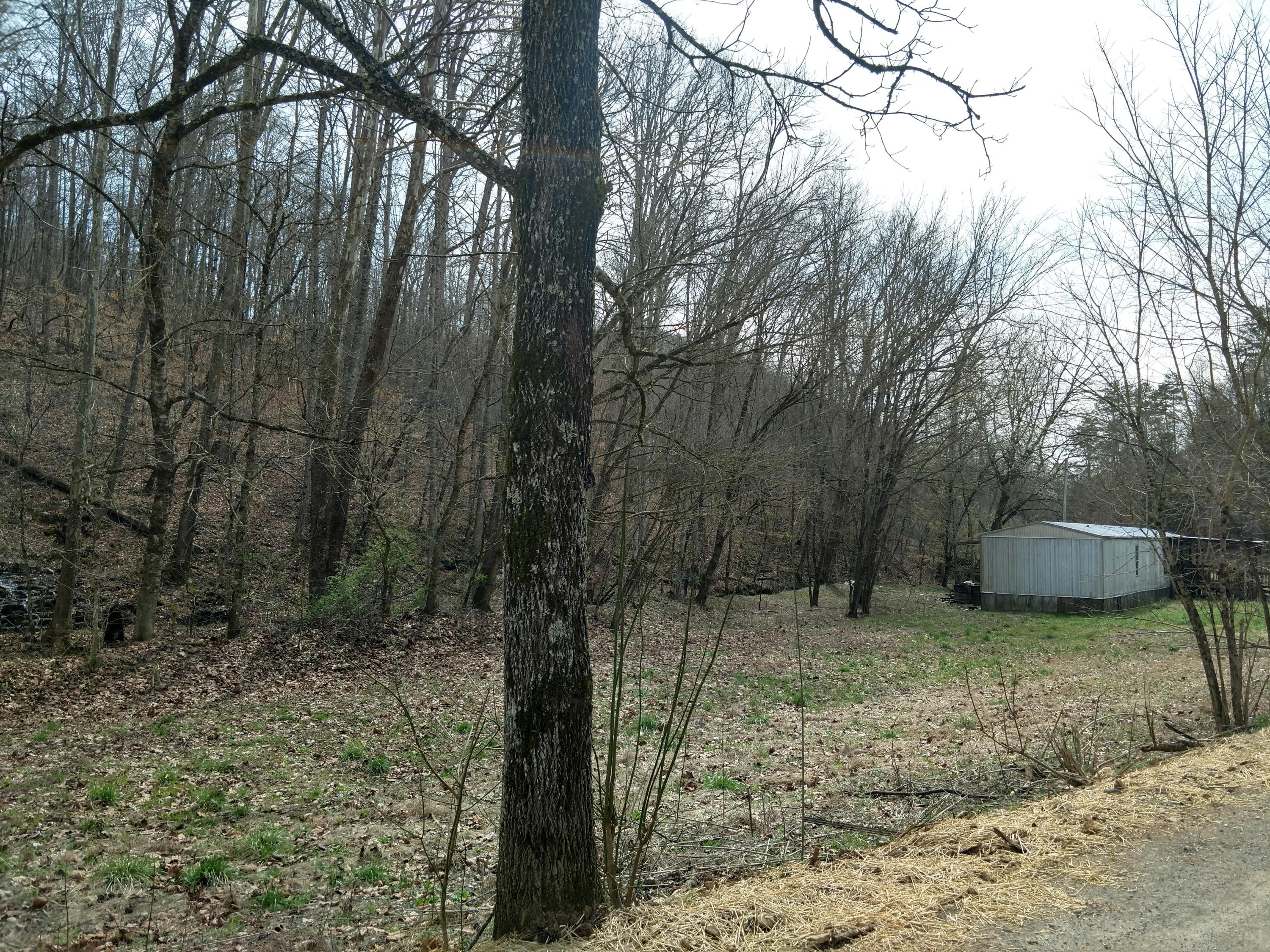 691 Little Creek Road Harrogate, TN 37752 - Photo 13 of 32 IMG_20180326_145736187_HDR