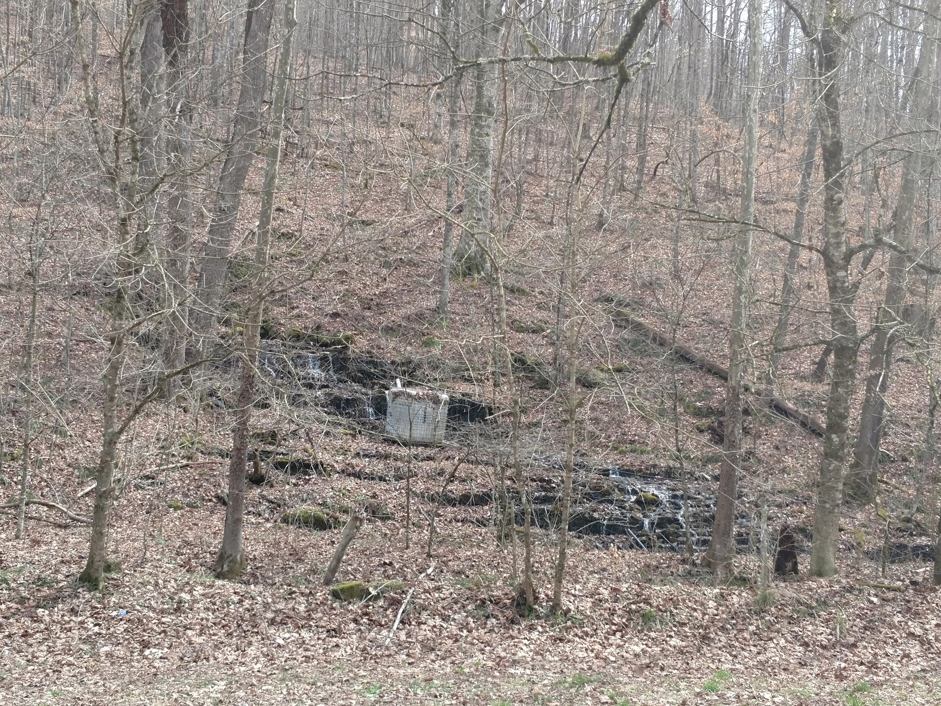 691 Little Creek Road Harrogate, TN 37752 - Photo 14 of 32 IMG_20180326_145733267