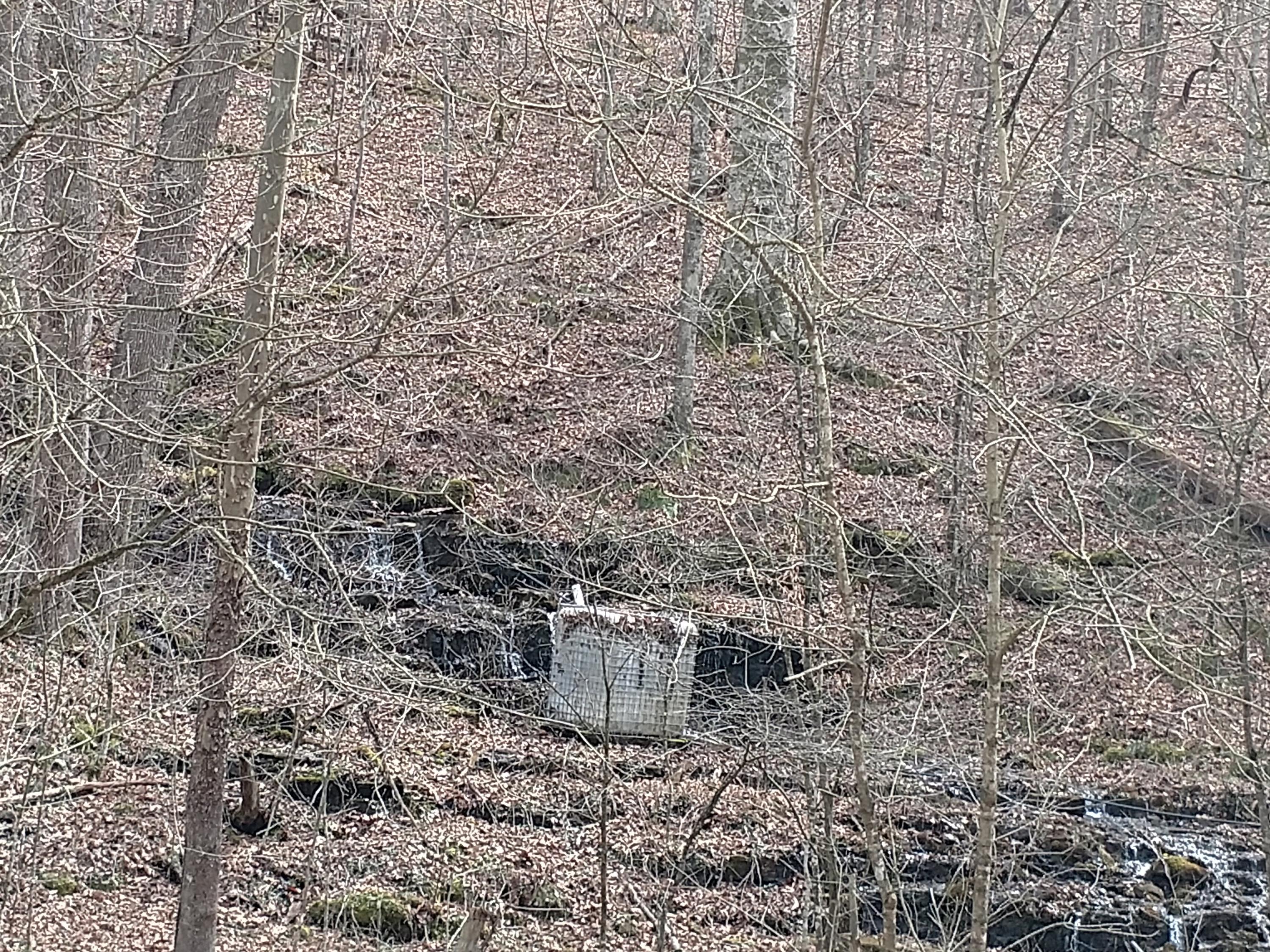 691 Little Creek Road Harrogate, TN 37752 - Photo 15 of 32 IMG_20180326_145730849