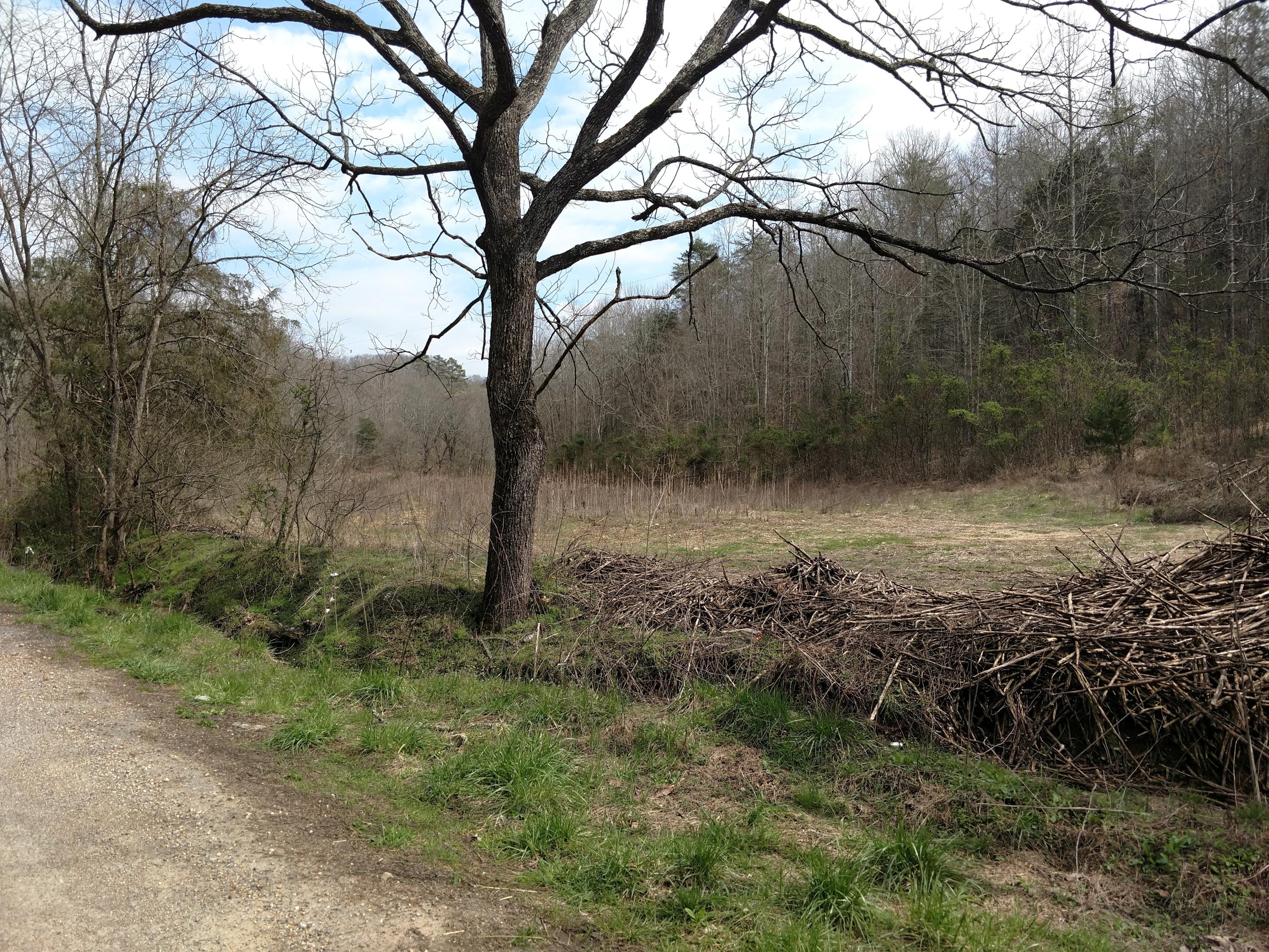 691 Little Creek Road Harrogate, TN 37752 - Photo 20 of 32 IMG_20180326_145607099