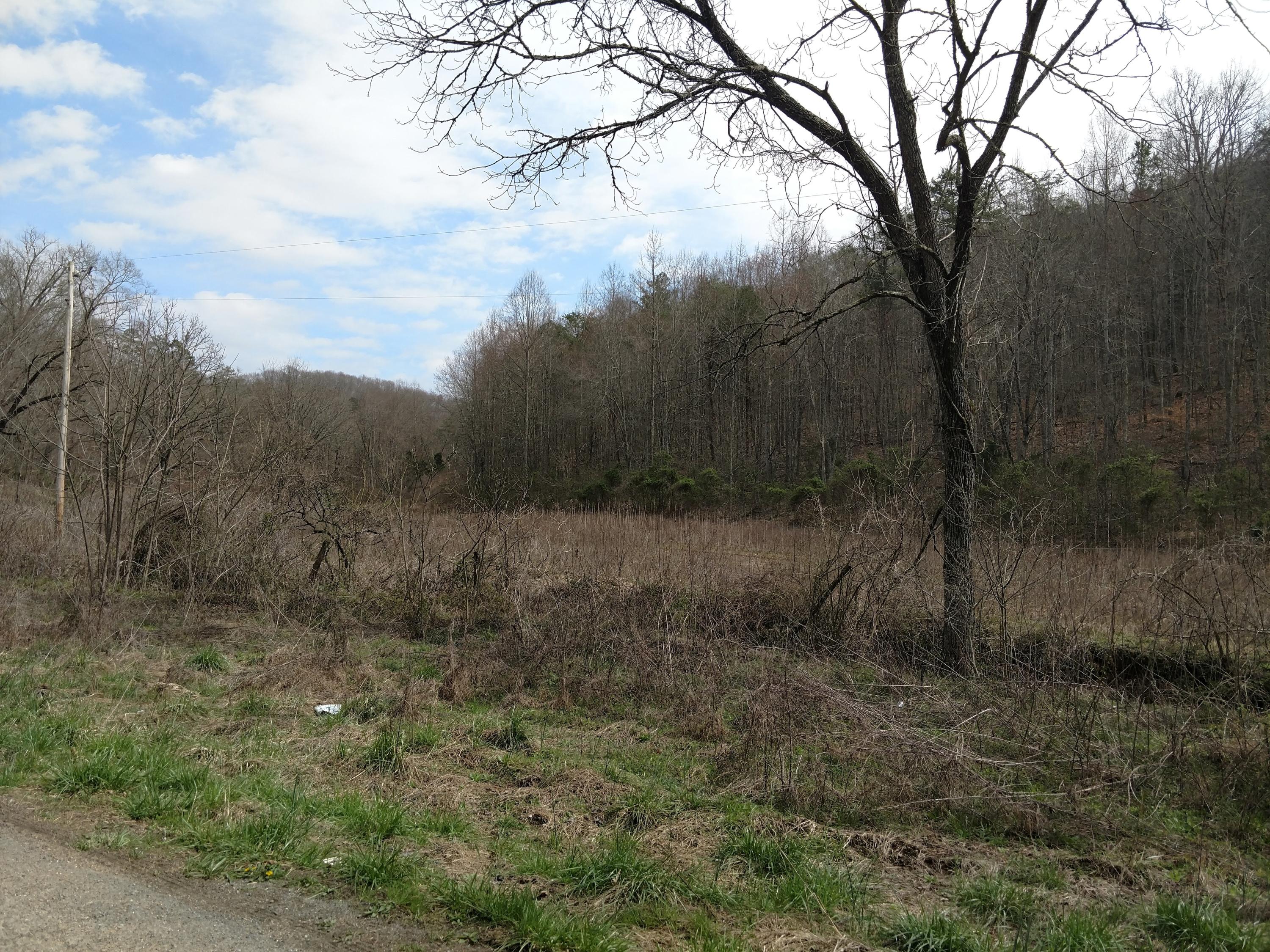 691 Little Creek Road Harrogate, TN 37752 - Photo 23 of 32 IMG_20180326_145502382