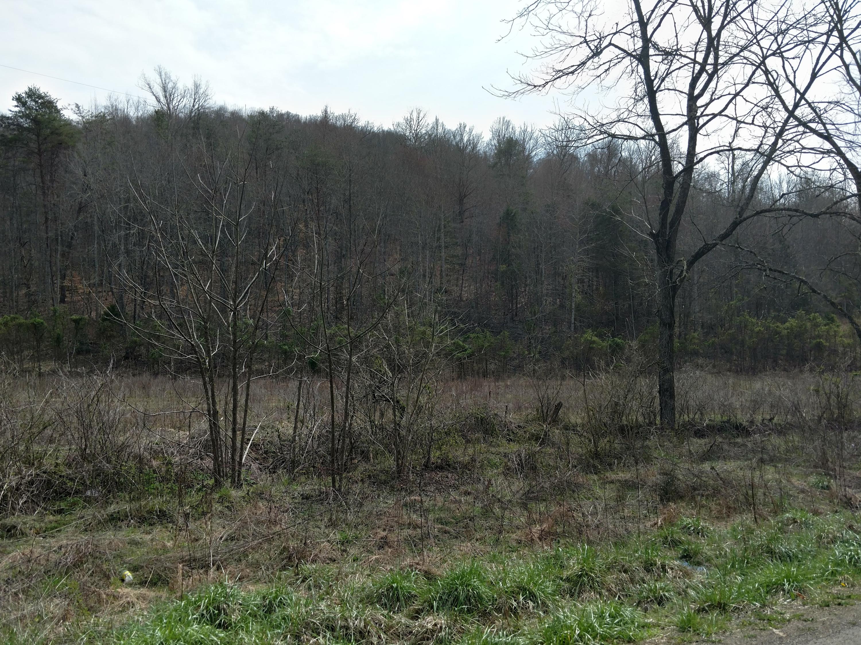 691 Little Creek Road Harrogate, TN 37752 - Photo 24 of 32 IMG_20180326_145454008_HDR