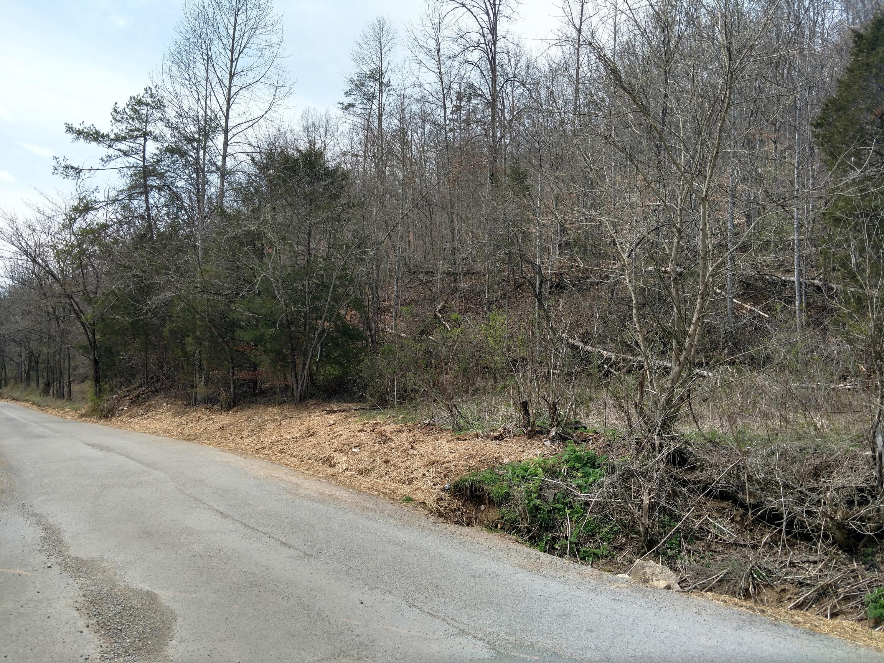 691 Little Creek Road Harrogate, TN 37752 - Photo 27 of 32 IMG_20180326_145413970_HDR