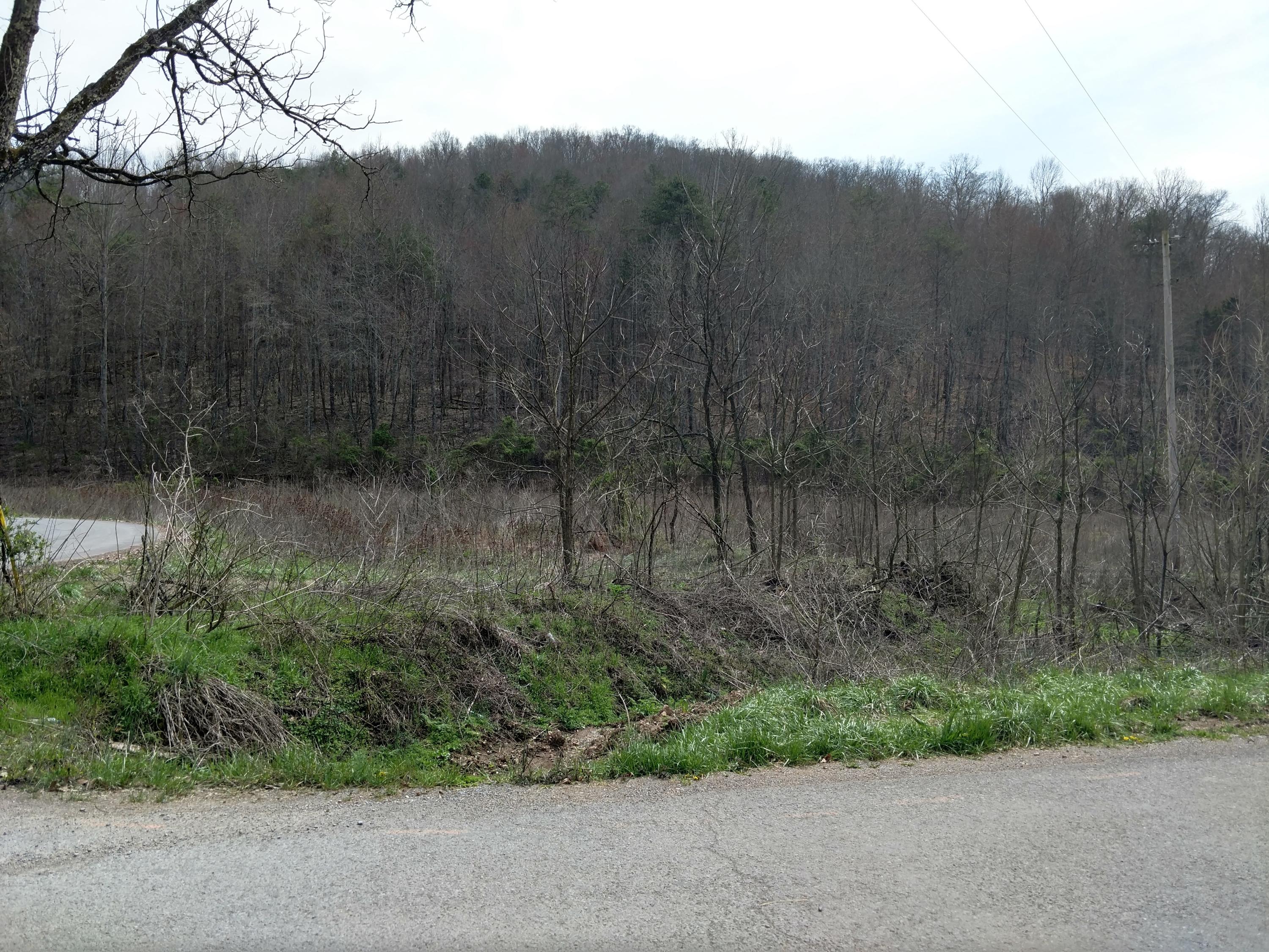 691 Little Creek Road Harrogate, TN 37752 - Photo 29 of 32 IMG_20180326_145354815_HDR