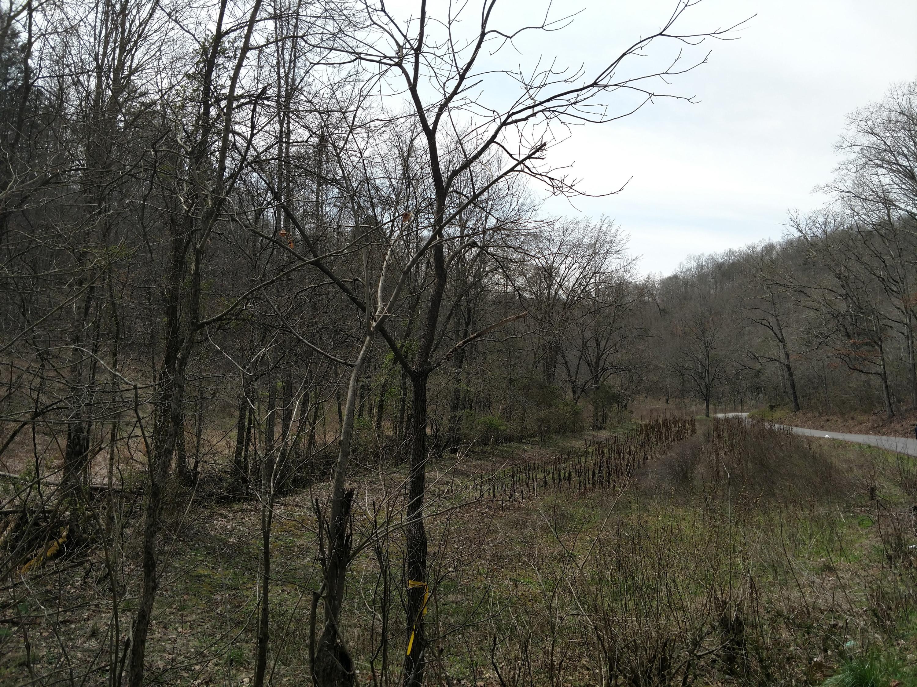 691 Little Creek Road Harrogate, TN 37752 - Photo 31 of 32 IMG_20180326_145211941