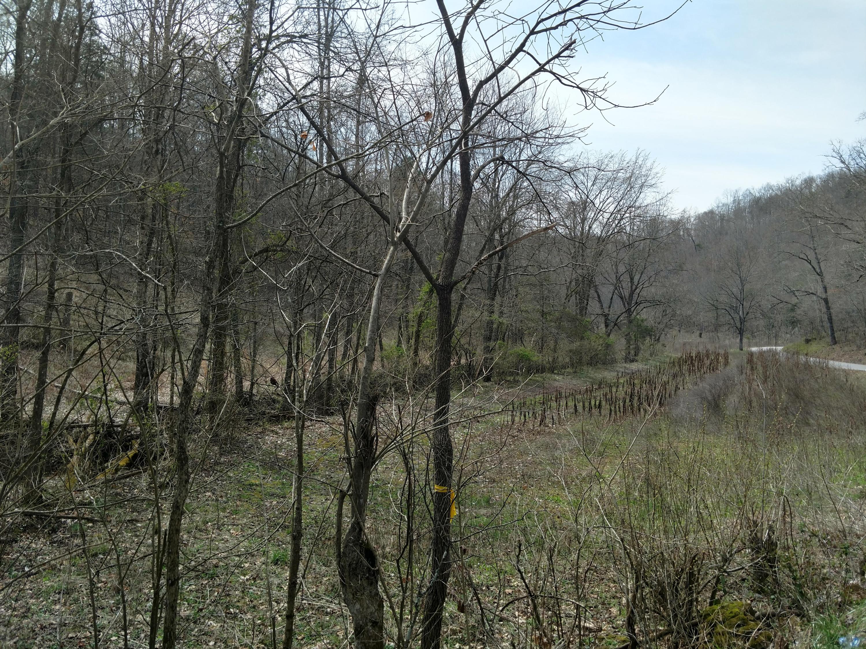 691 Little Creek Road Harrogate, TN 37752 - Photo 32 of 32 IMG_20180326_145202392_HDR