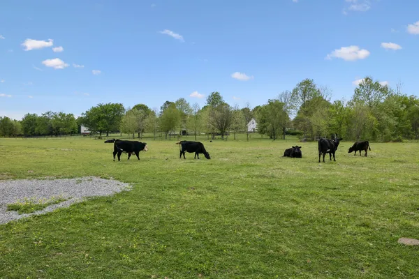 $999,999 | 2575 Mt Vernon Road, Chapel Hill, TN 37034