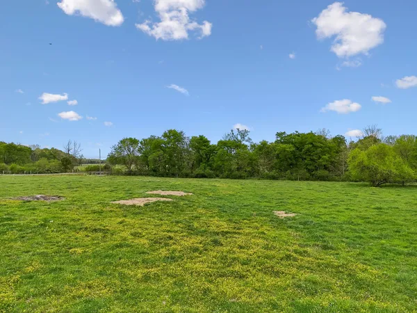 $999,999 | 2575 Mt Vernon Road, Chapel Hill, TN 37034