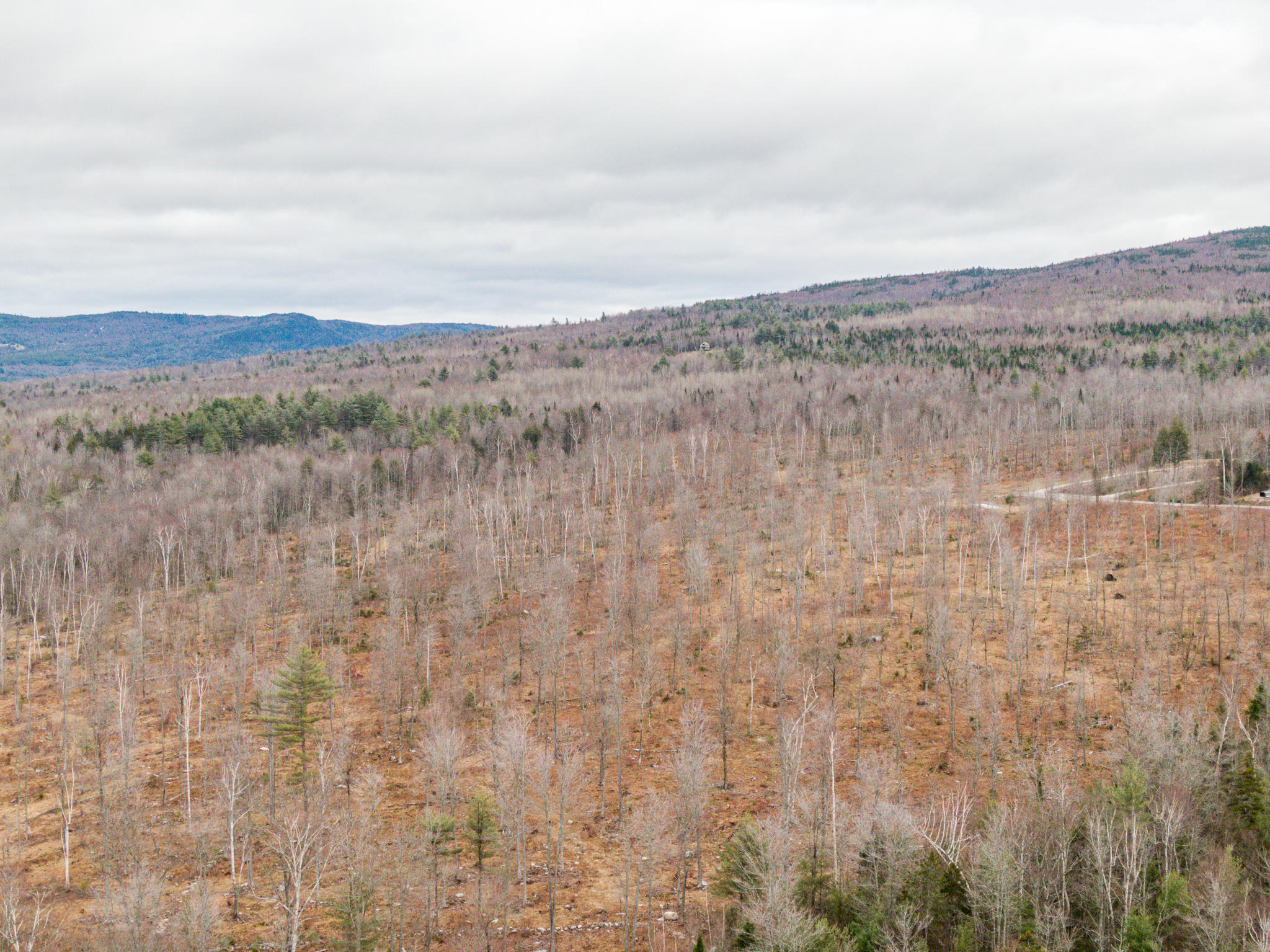Tbd Swan Hill Road Bethel, ME 04217 - Photo 15 of 20 Swan Hill Lot-17