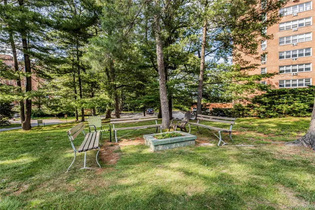 a view of a park with large trees