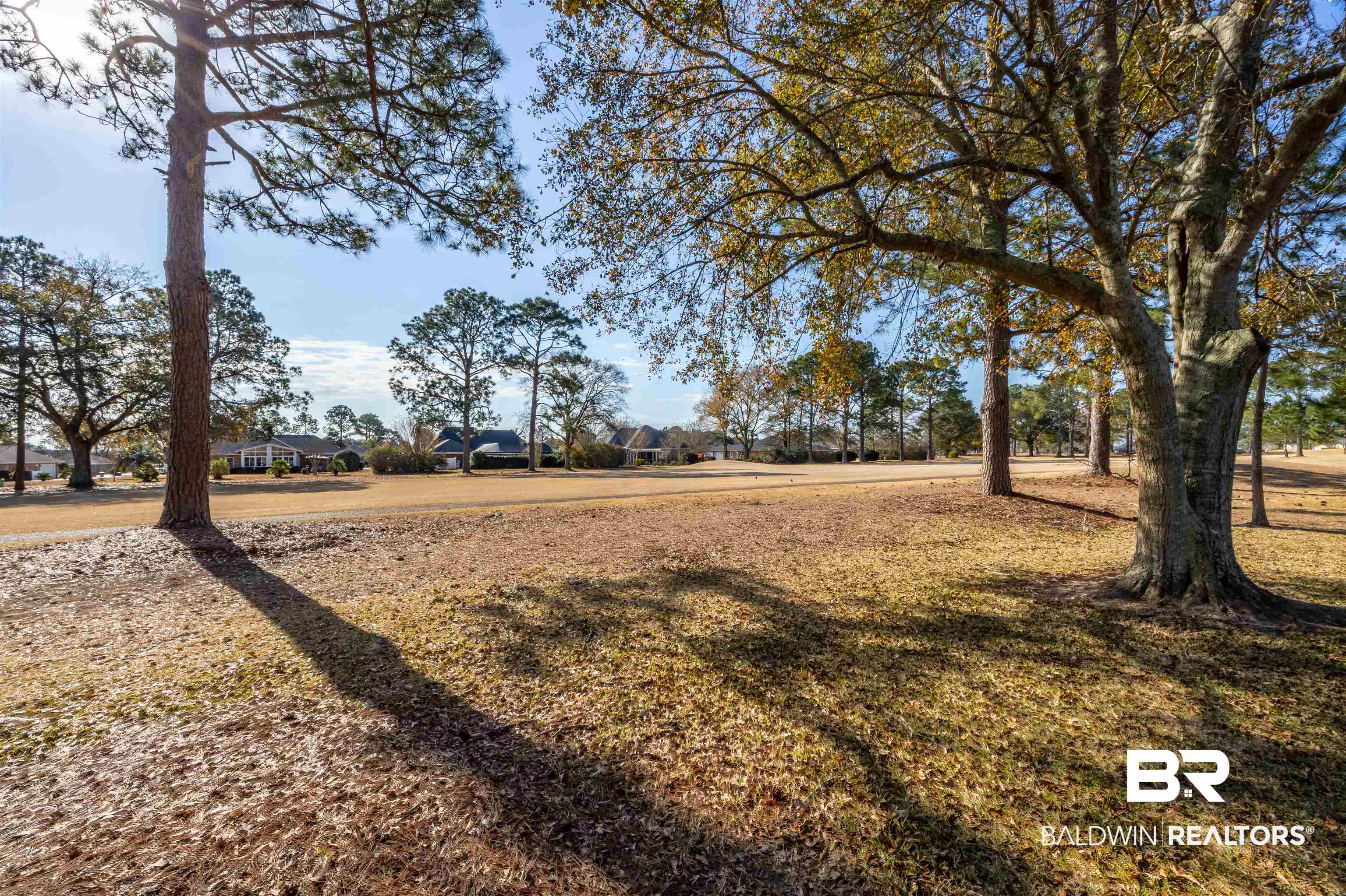 22520 Wedgewood Drive Foley, AL 36535 - Photo 39 of 60