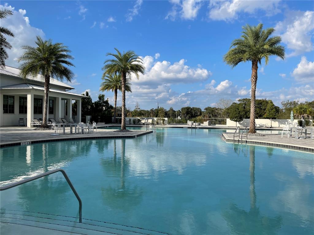 17136 Salty Dog Road Winter Garden, FL 34787 - Photo 36 of 38 a view of a lake with palm trees