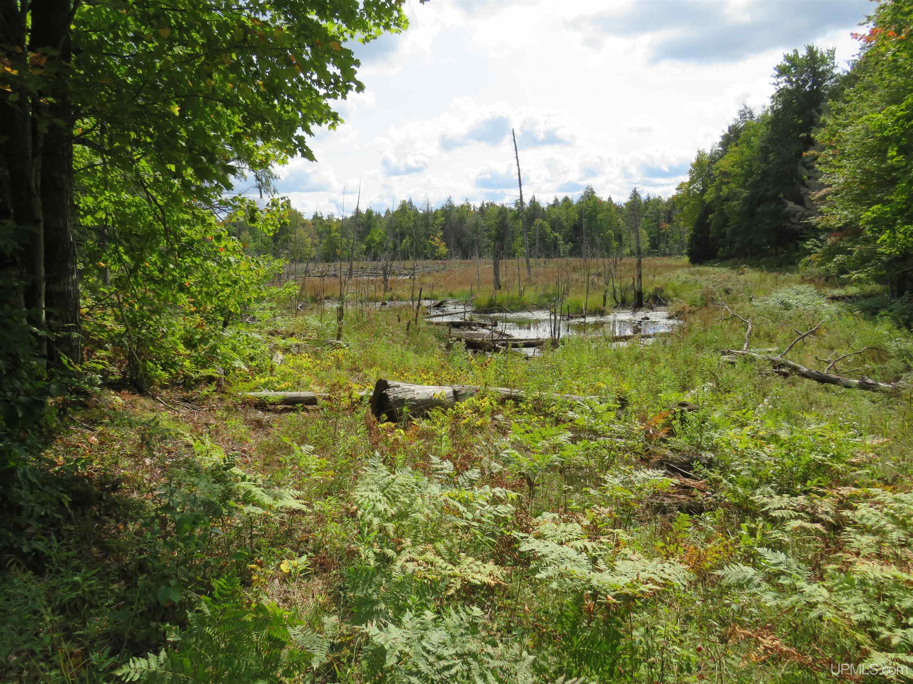Tbd Black Creek Road Skanee, MI 49962 - Photo 2 of 14