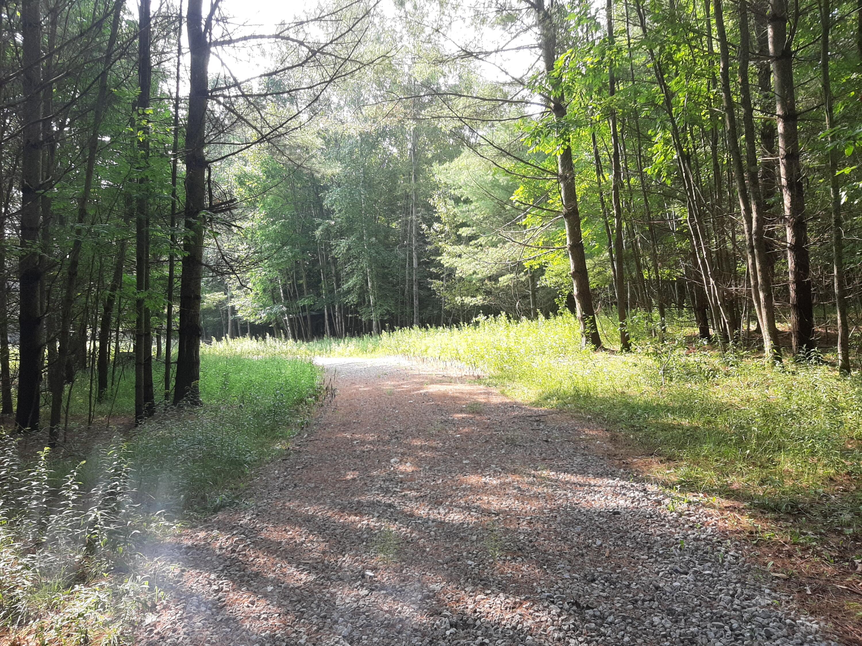East Springport Road Harrisville, MI 48740 - Photo 1 of 12 Gallery Image 1