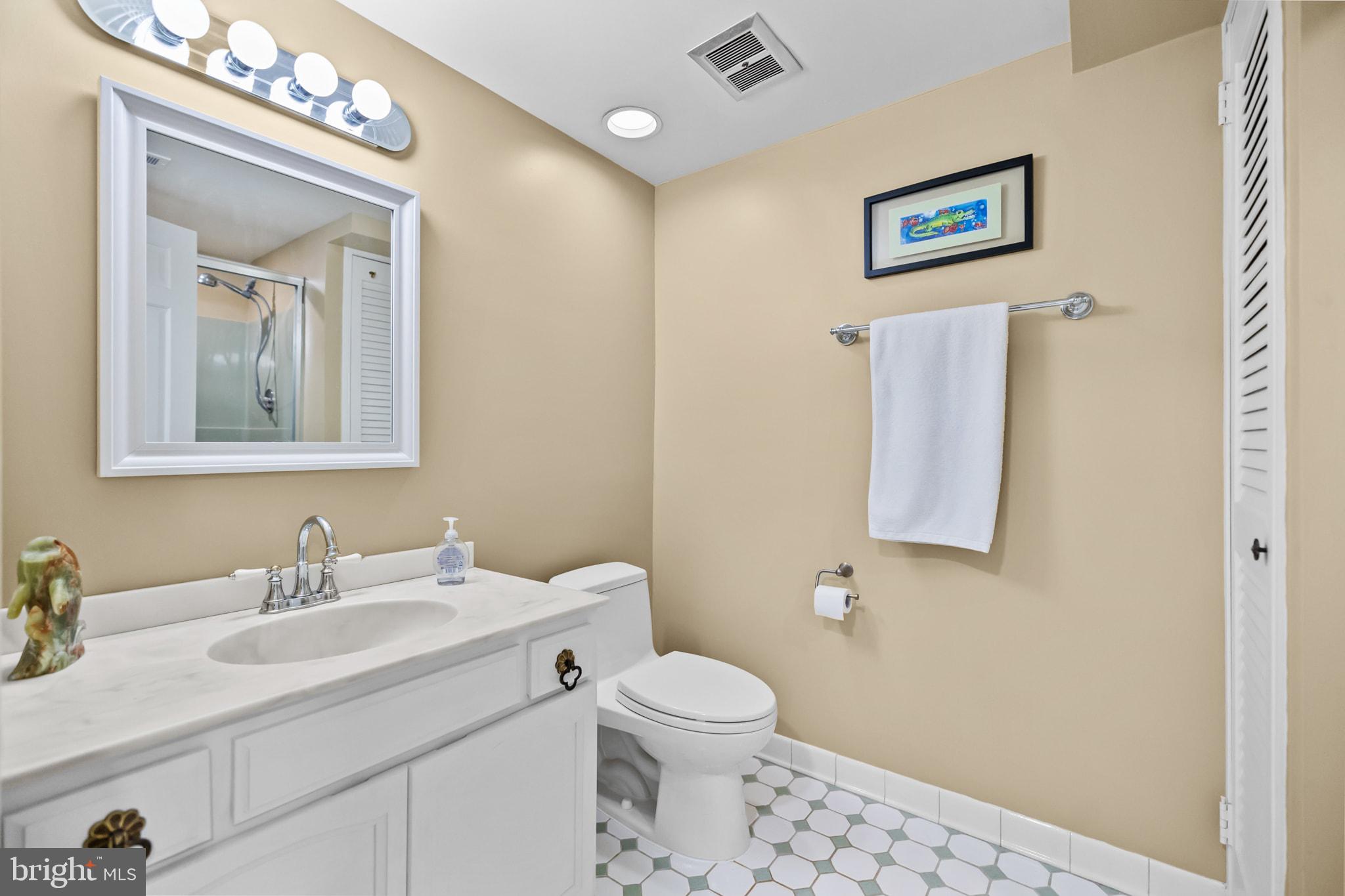 12007 Turf Lane Reston, VA 20191 - Photo 52 of 69