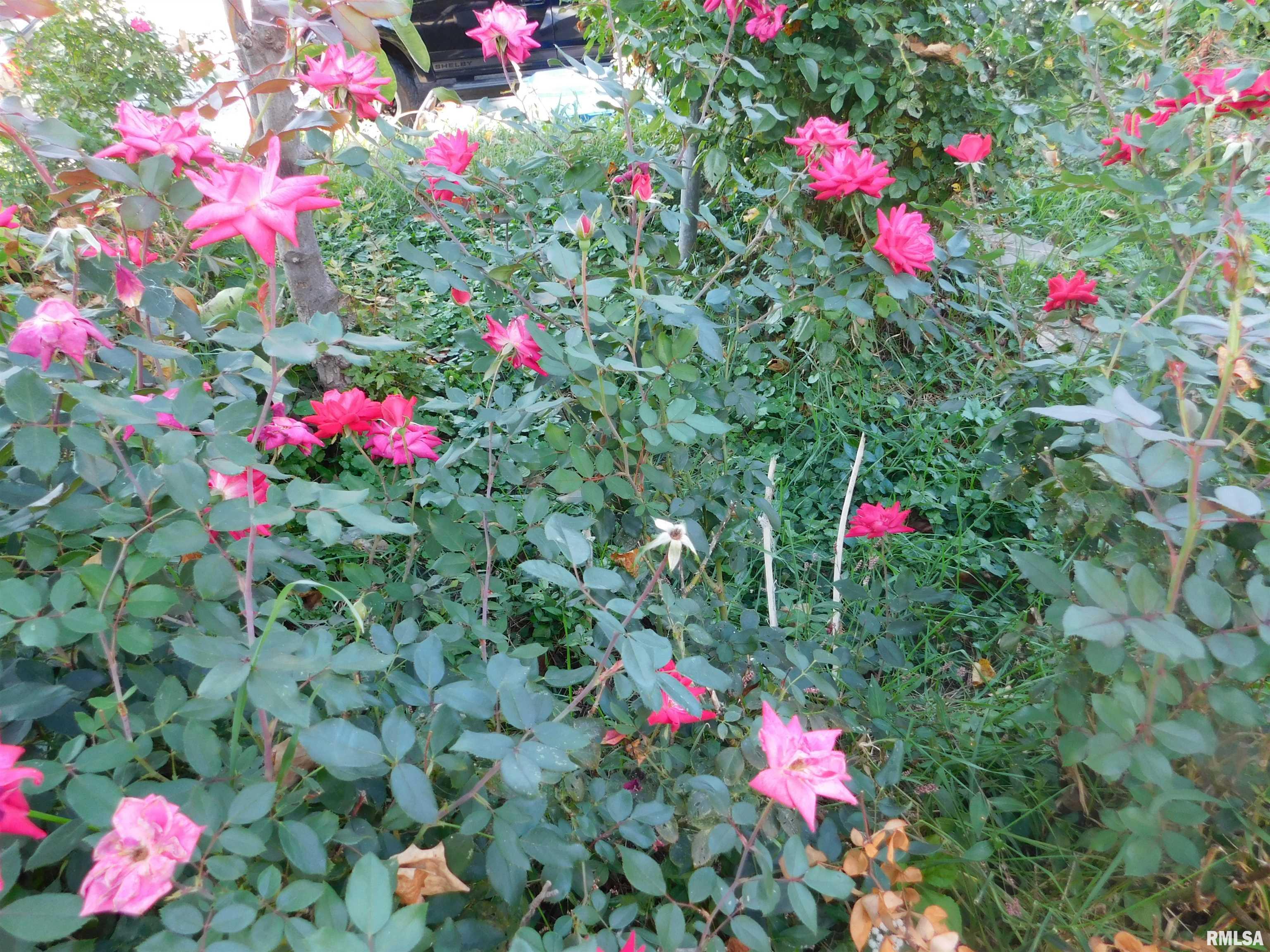 1624 9th Avenue Moline, IL 61265 - Photo 30 of 32