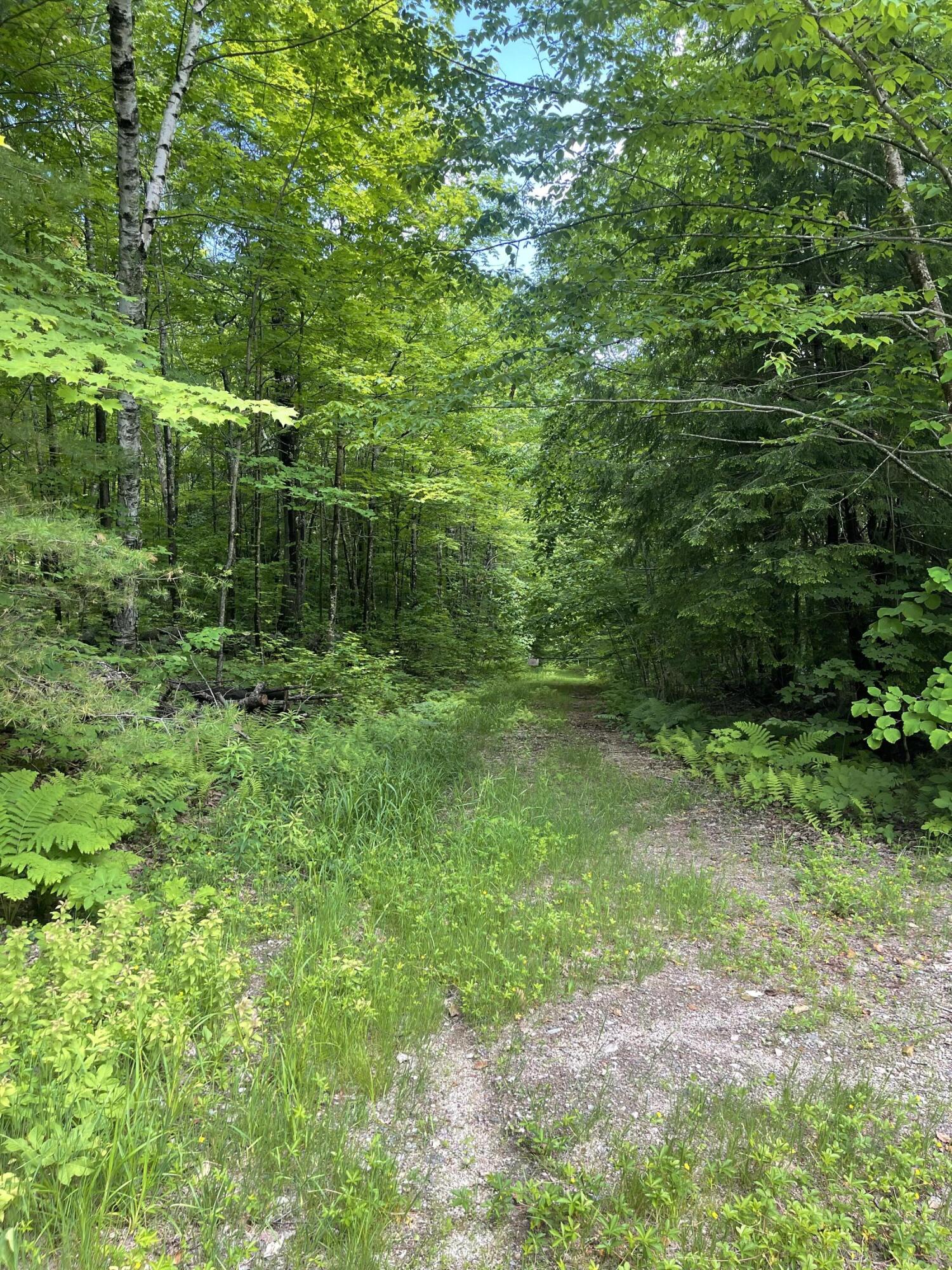 0 Ross Corner Road Shapleigh, ME 04076 - Photo 1 of 6 IMG_3933