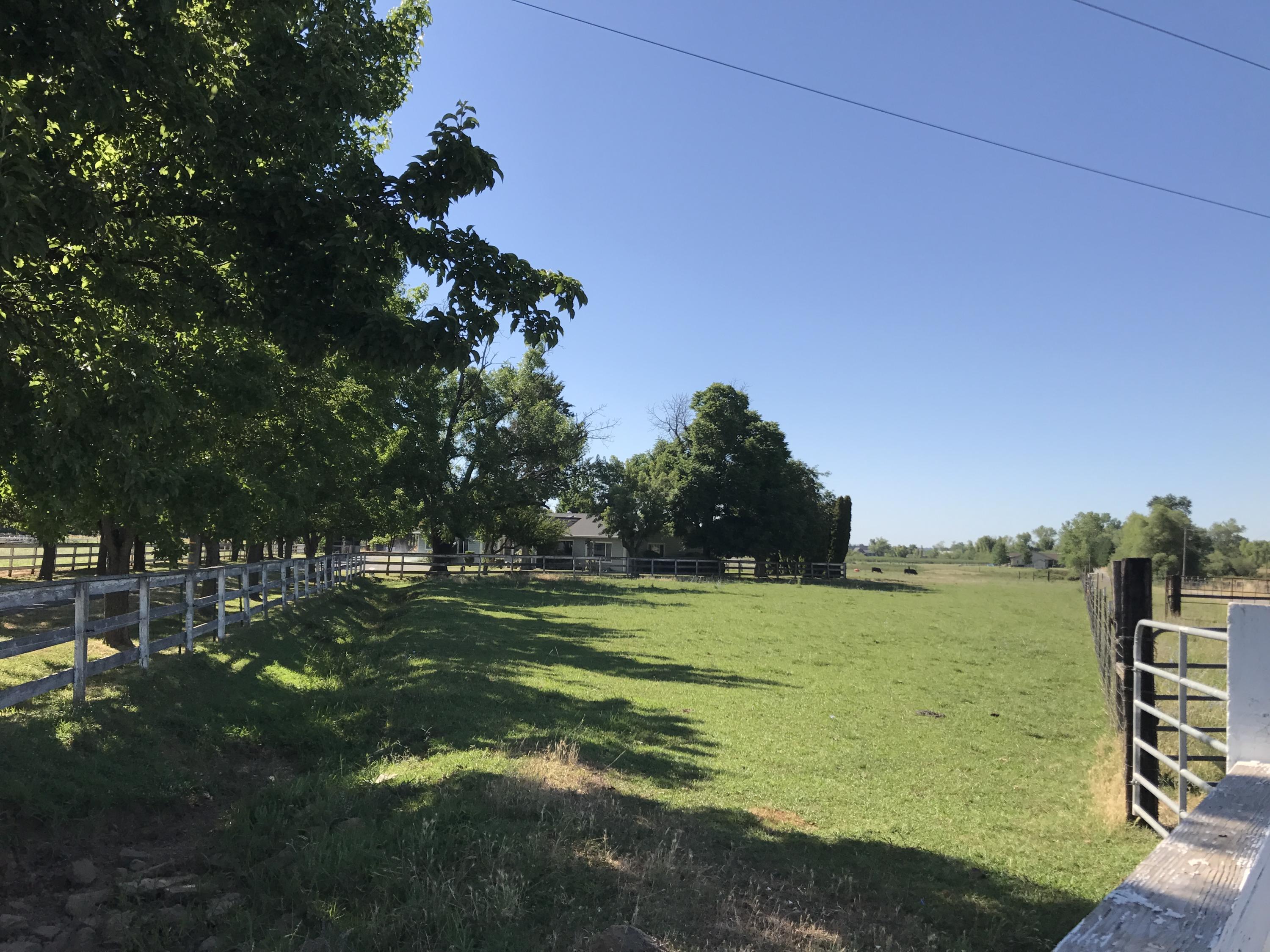 21877 Kimberly Road Anderson, CA 96007 - Photo 17 of 21 Pasture green w/ ACID water