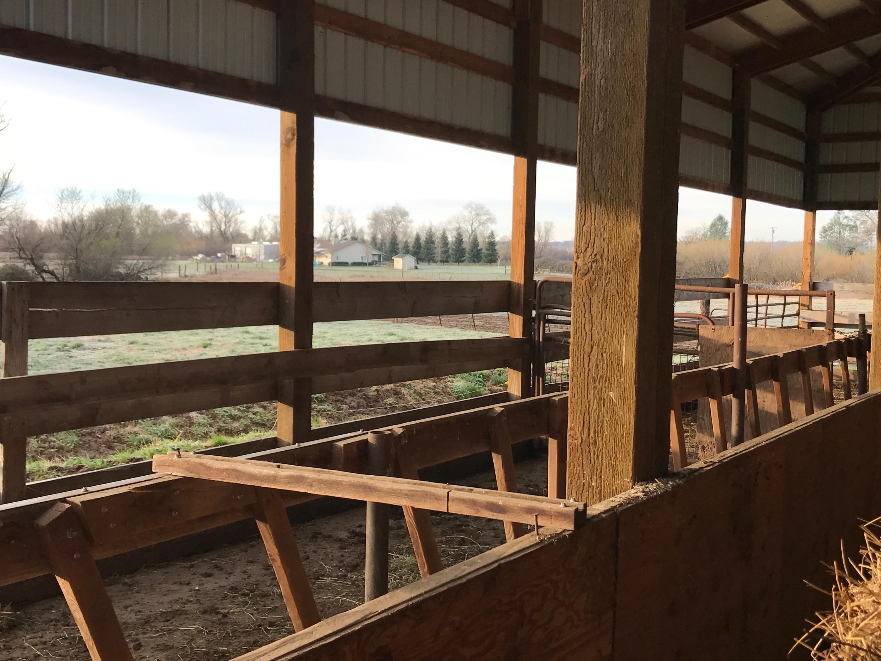 21877 Kimberly Road Anderson, CA 96007 - Photo 21 of 21 barn