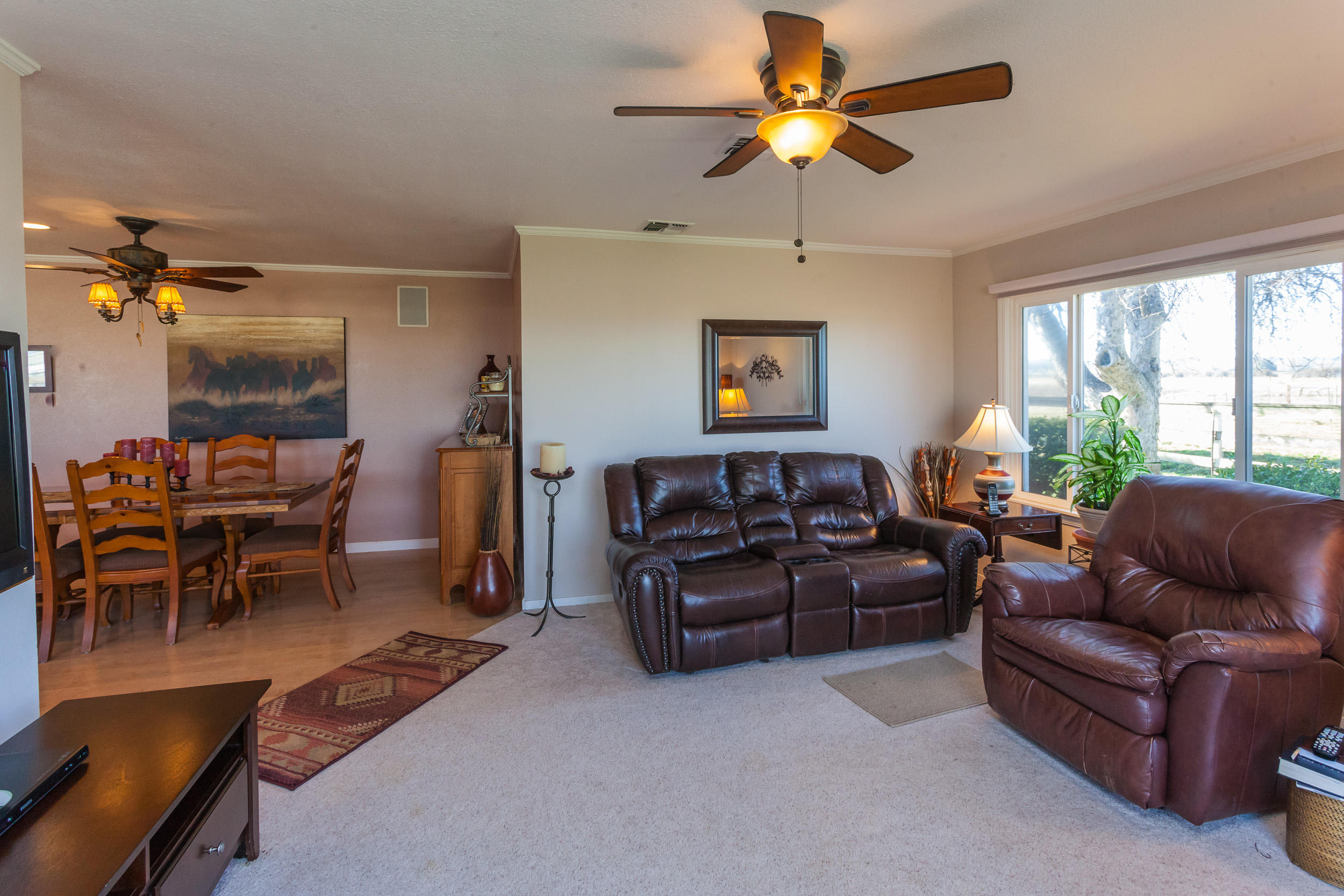 Den/Dining room