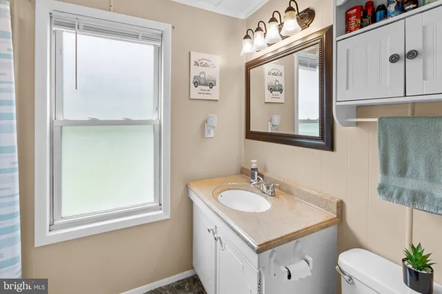 a bathroom with a sink vanity and a toilet