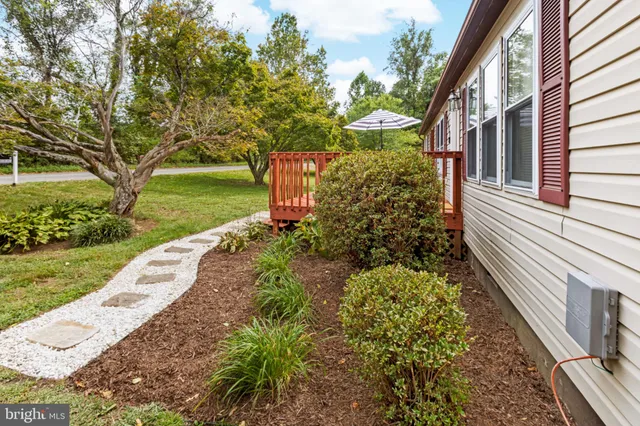 a view of a garden with pathway