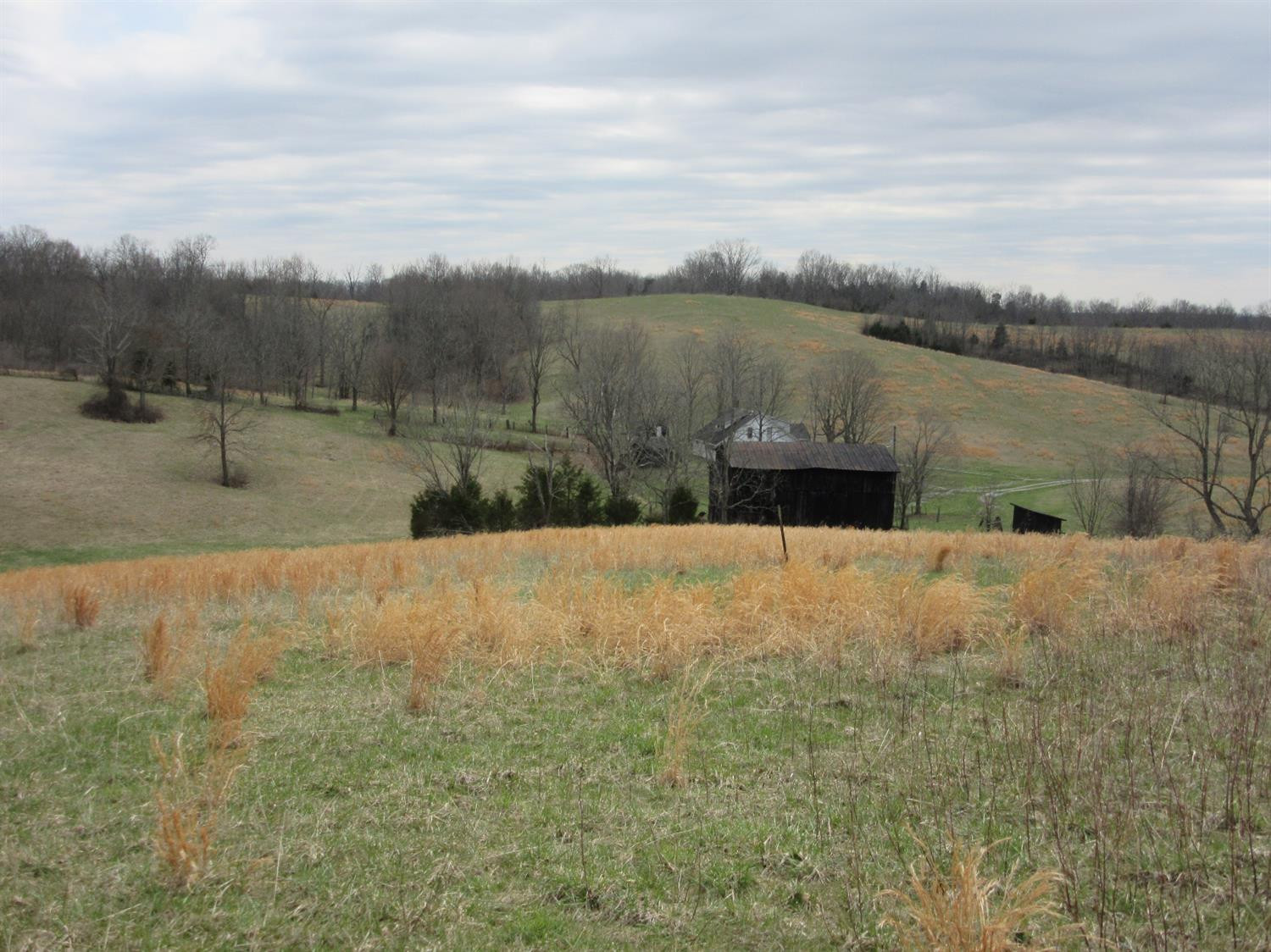 4885 Owenton Road Stamping Ground, KY 40379 - Photo 62 of 69 Photo 62